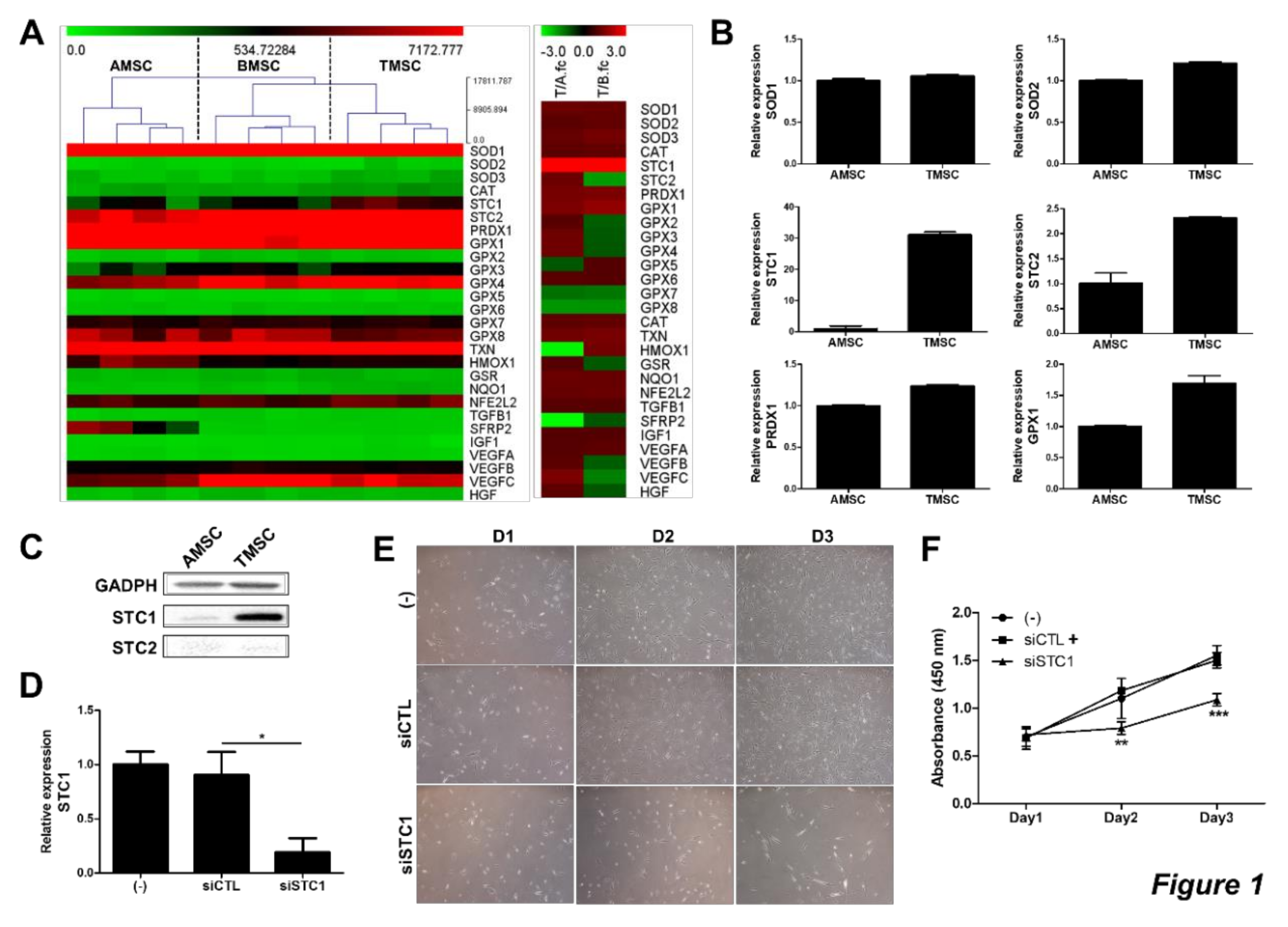 Cells 09 00636 g001 Cells 09 00636 g001