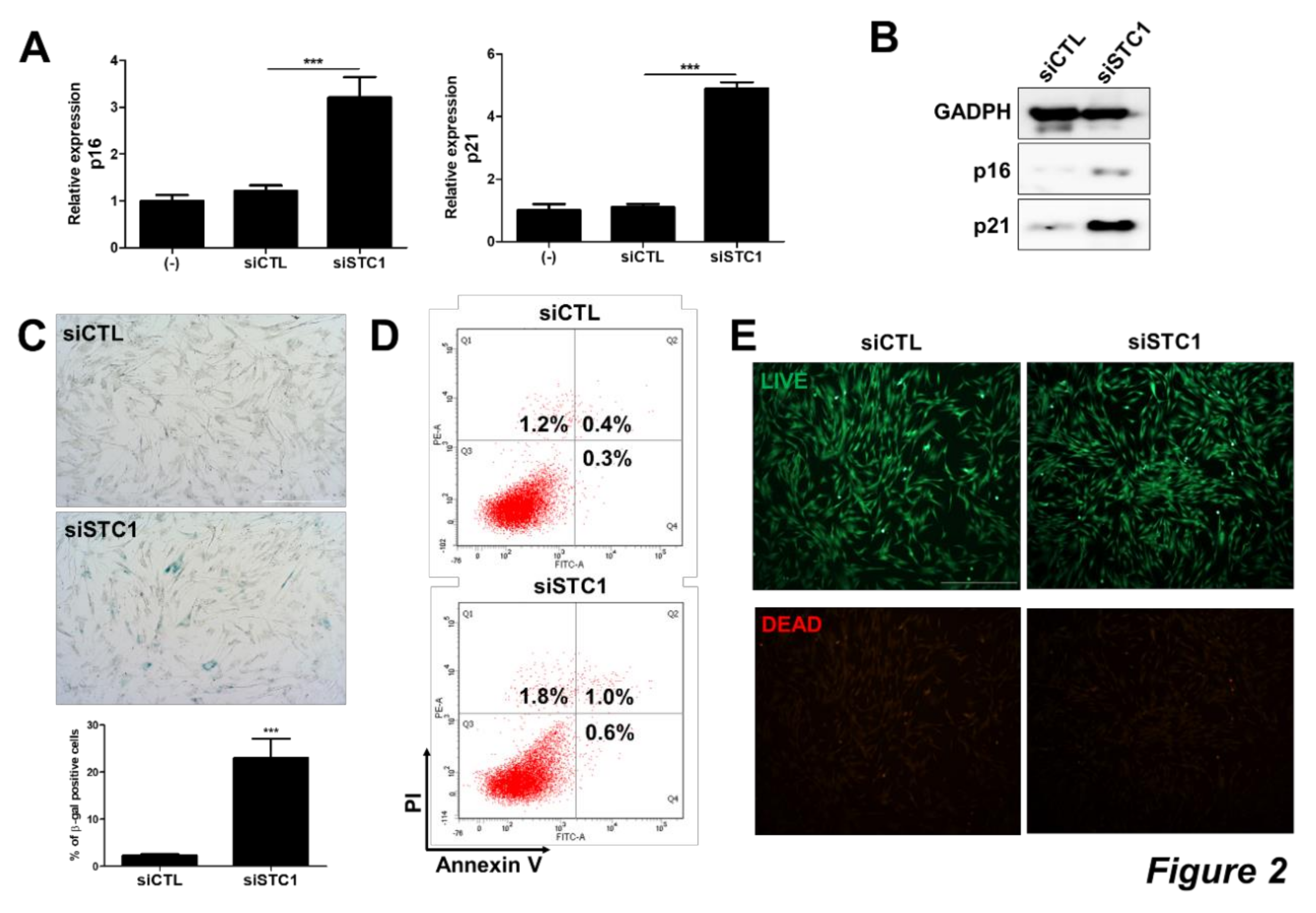 Cells 09 00636 g002 Cells 09 00636 g002