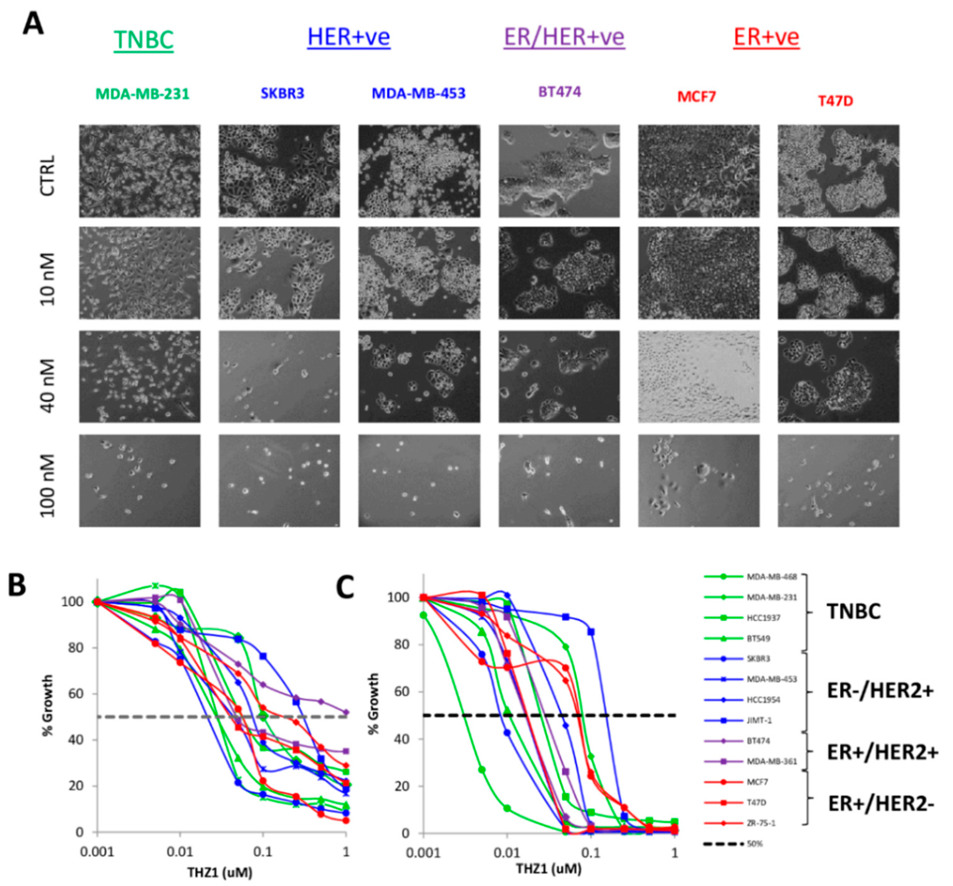 Cells 09 00638 g002 Cells 09 00638 g002