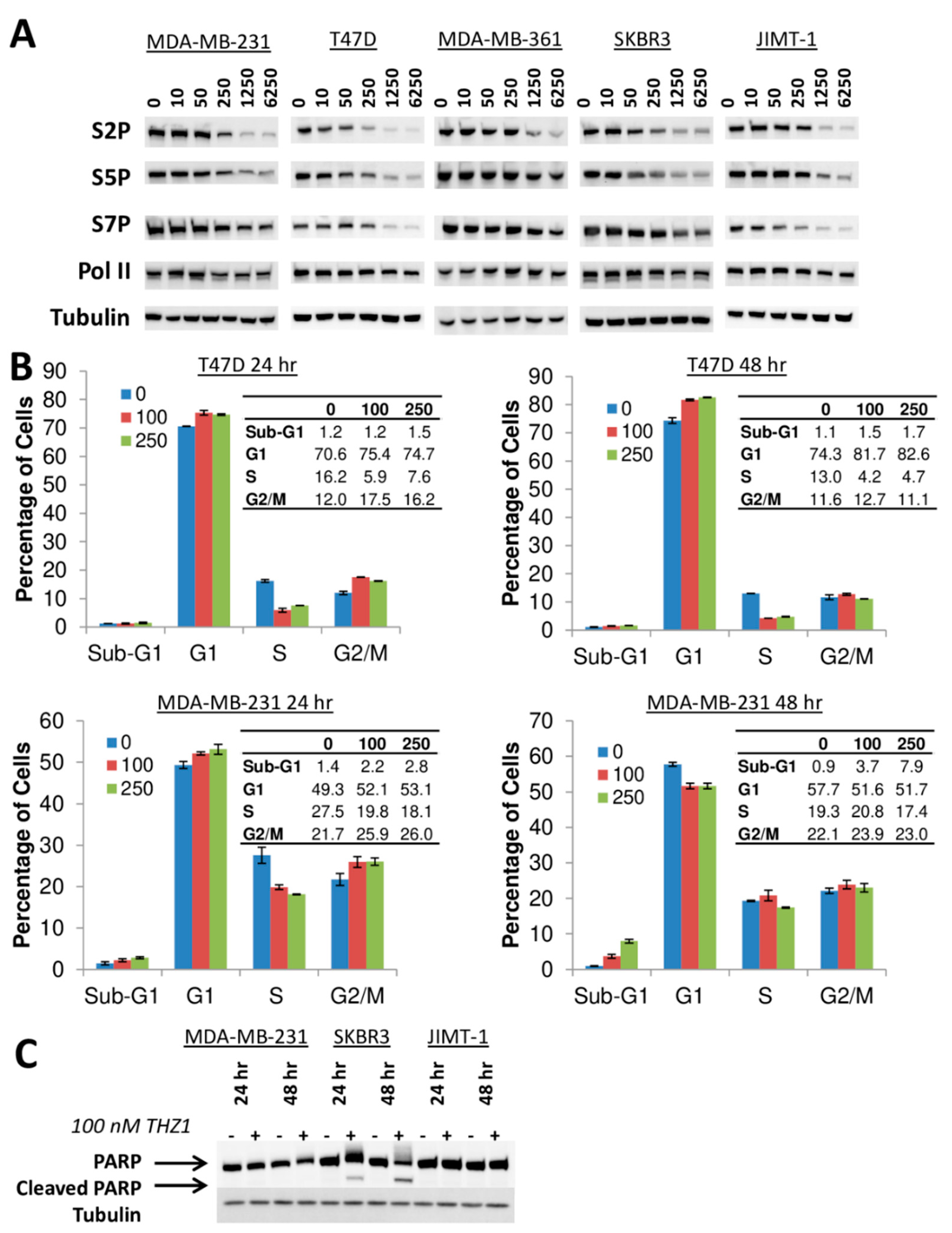 Cells 09 00638 g006 Cells 09 00638 g006