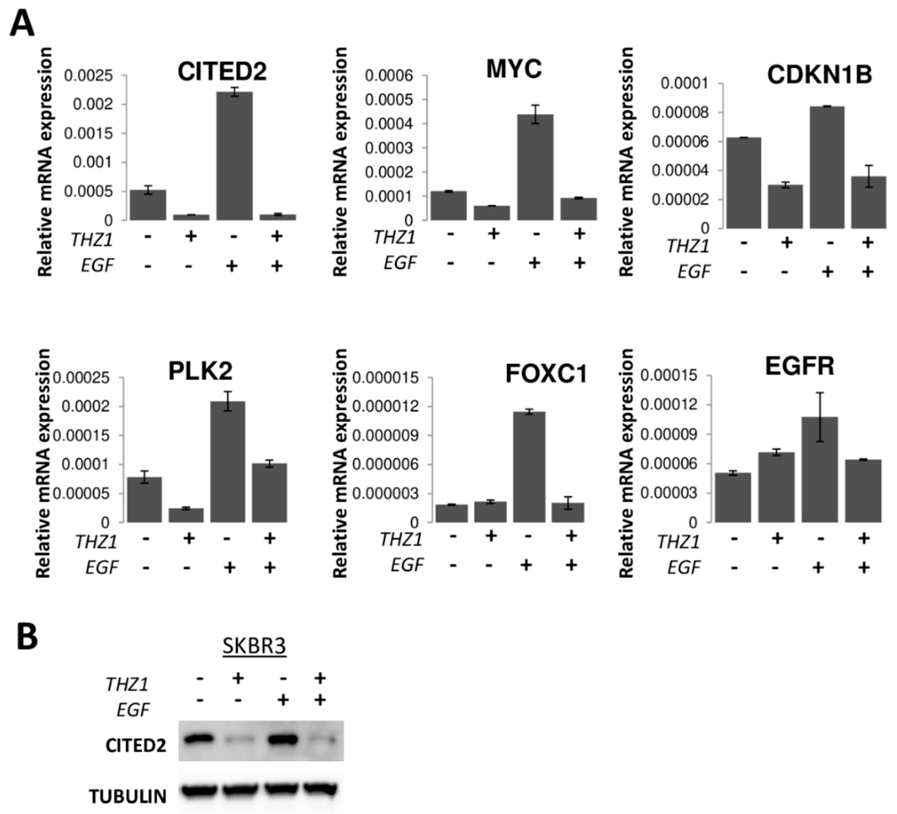 Cells 09 00638 g009 Cells 09 00638 g009