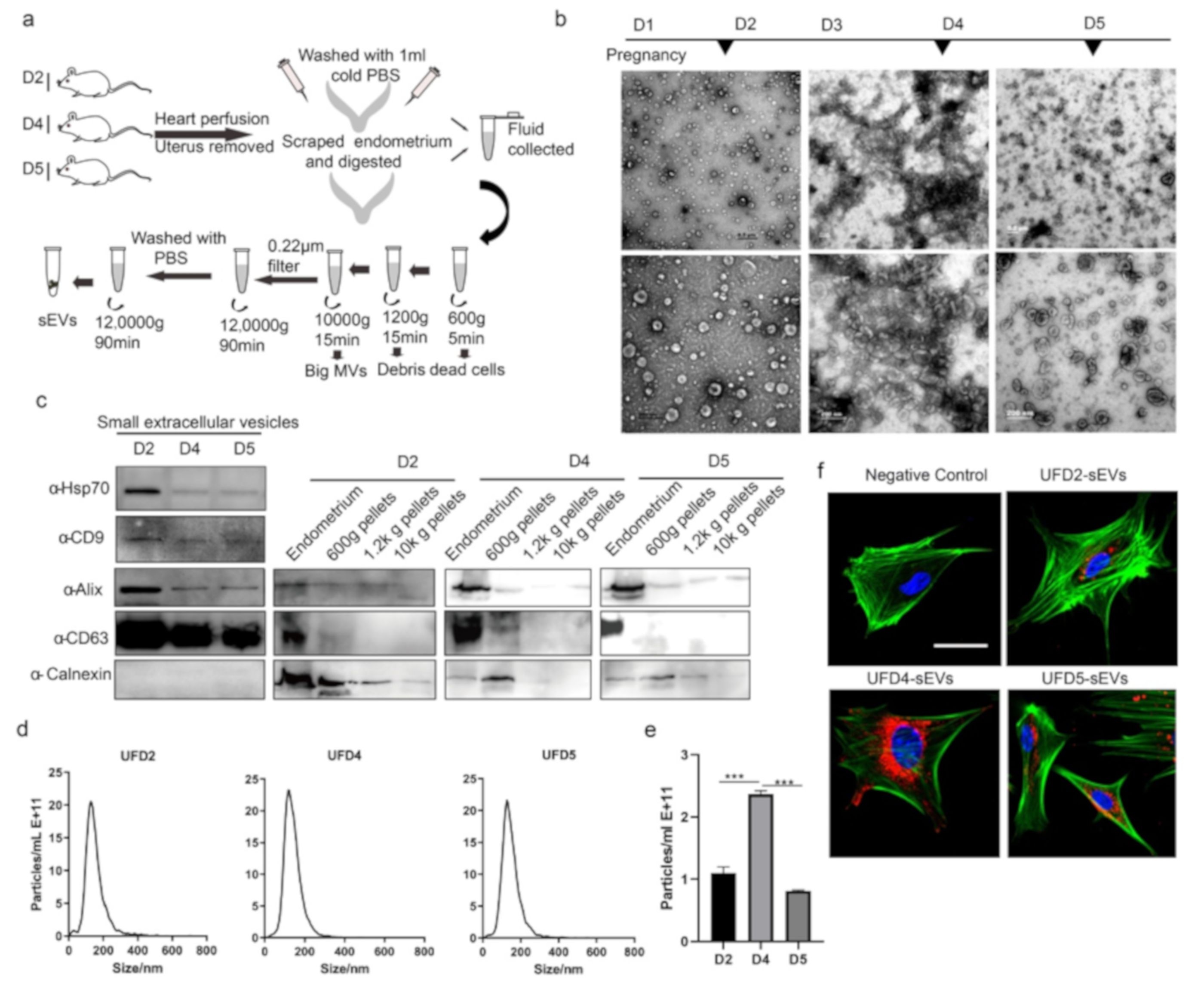 Cells 09 00645 g003 Cells 09 00645 g003