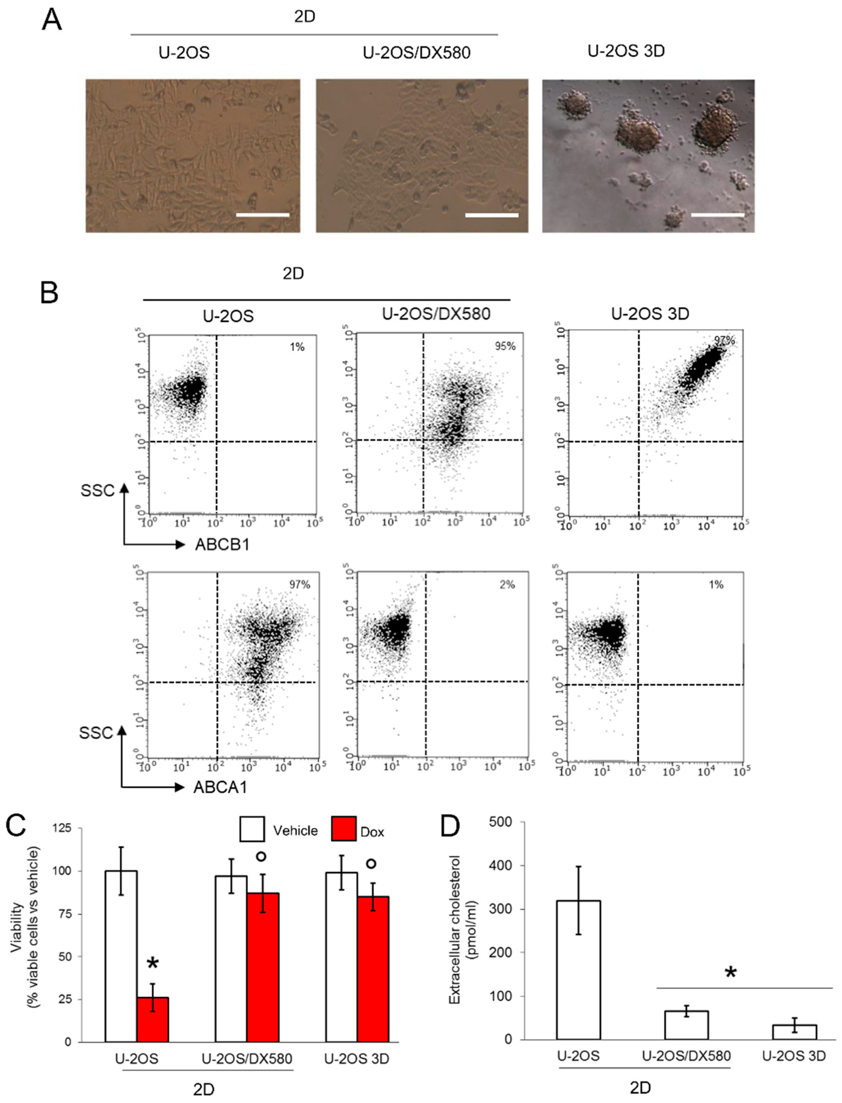 Cells 09 00647 g001 Cells 09 00647 g001