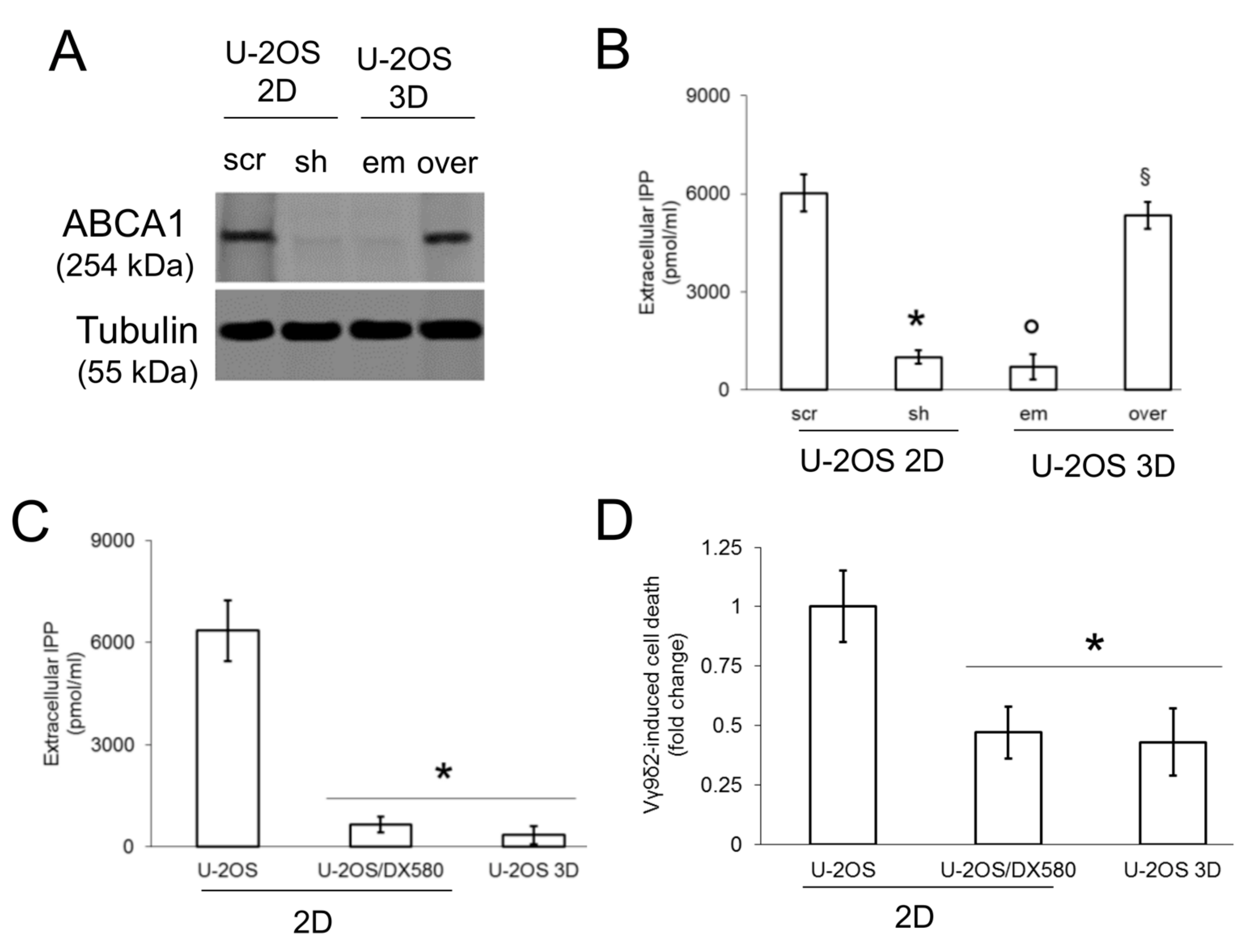 Cells 09 00647 g002 Cells 09 00647 g002