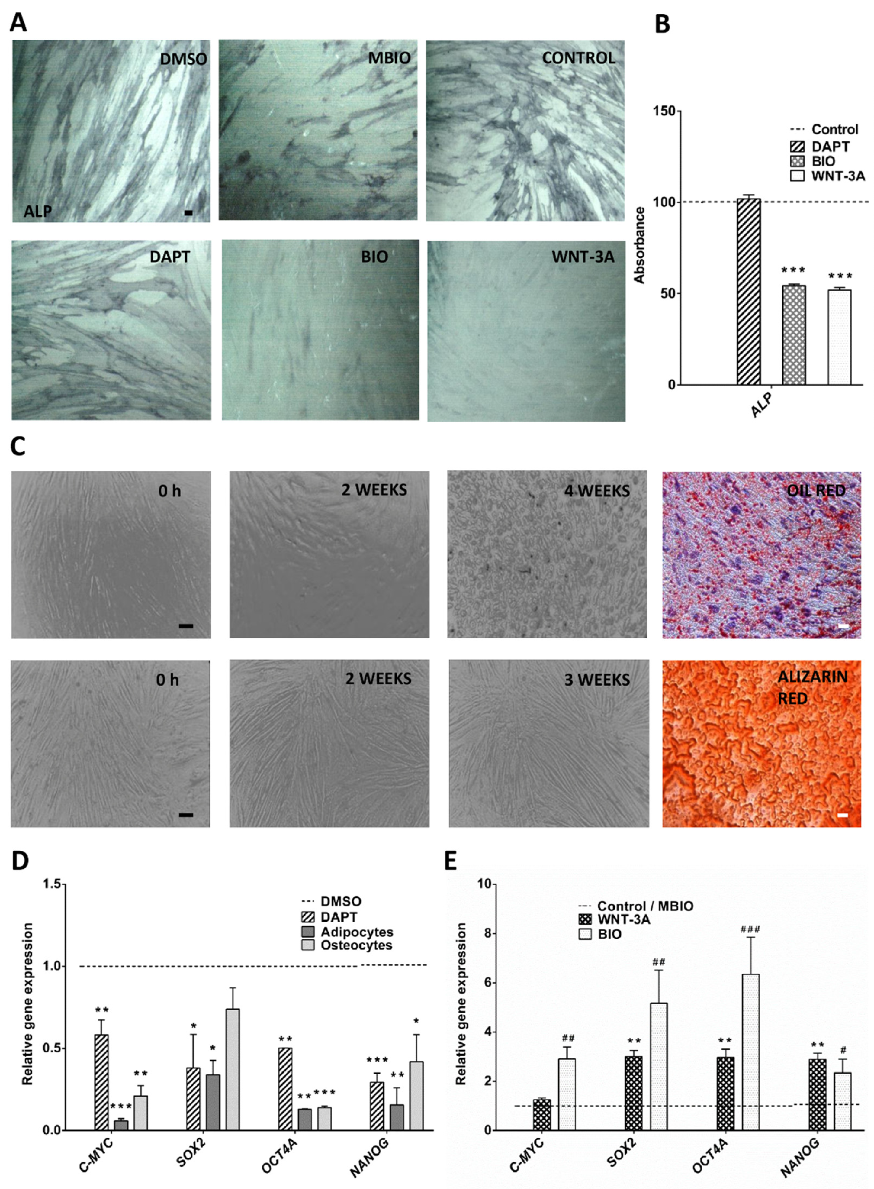 Cells 09 00652 g001 Cells 09 00652 g001
