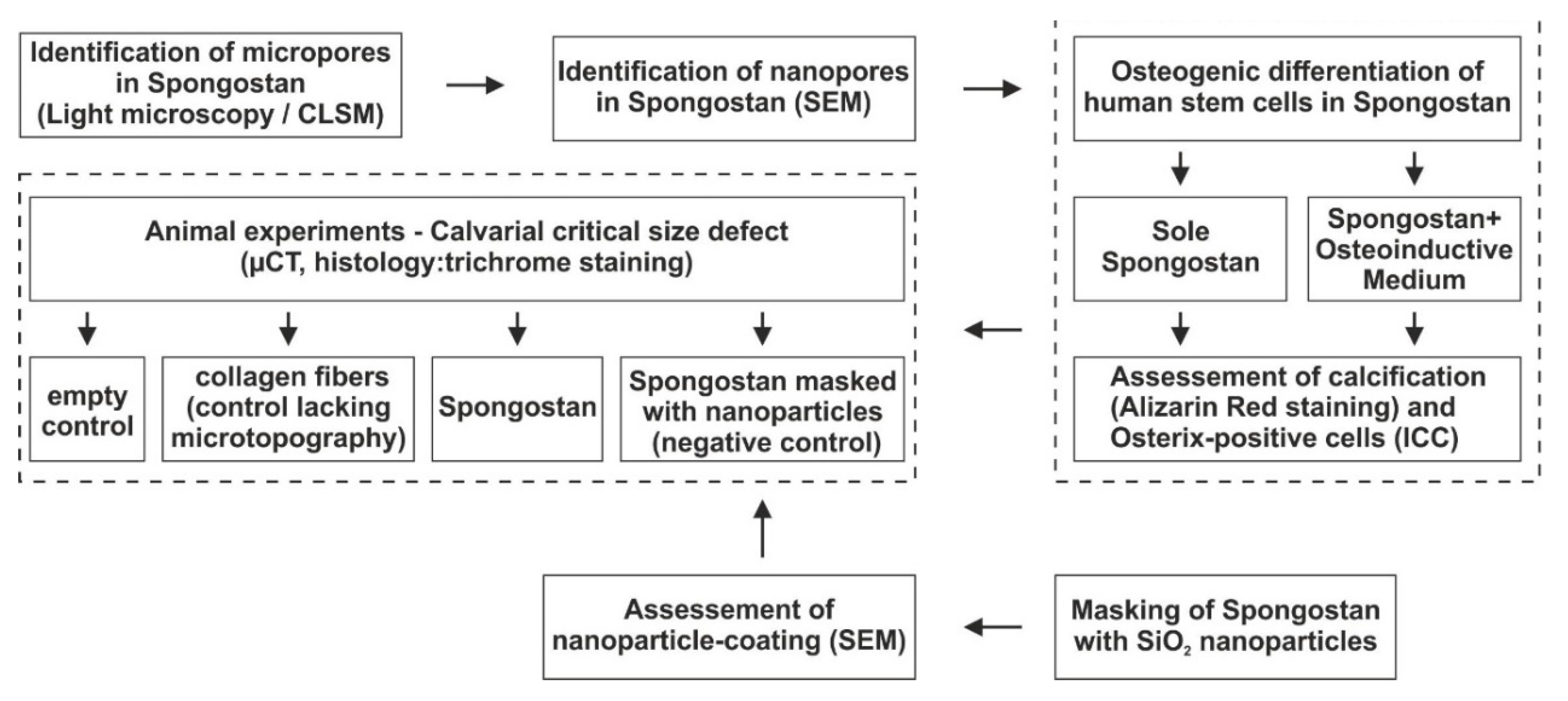 Cells 09 00654 g001 Cells 09 00654 g001