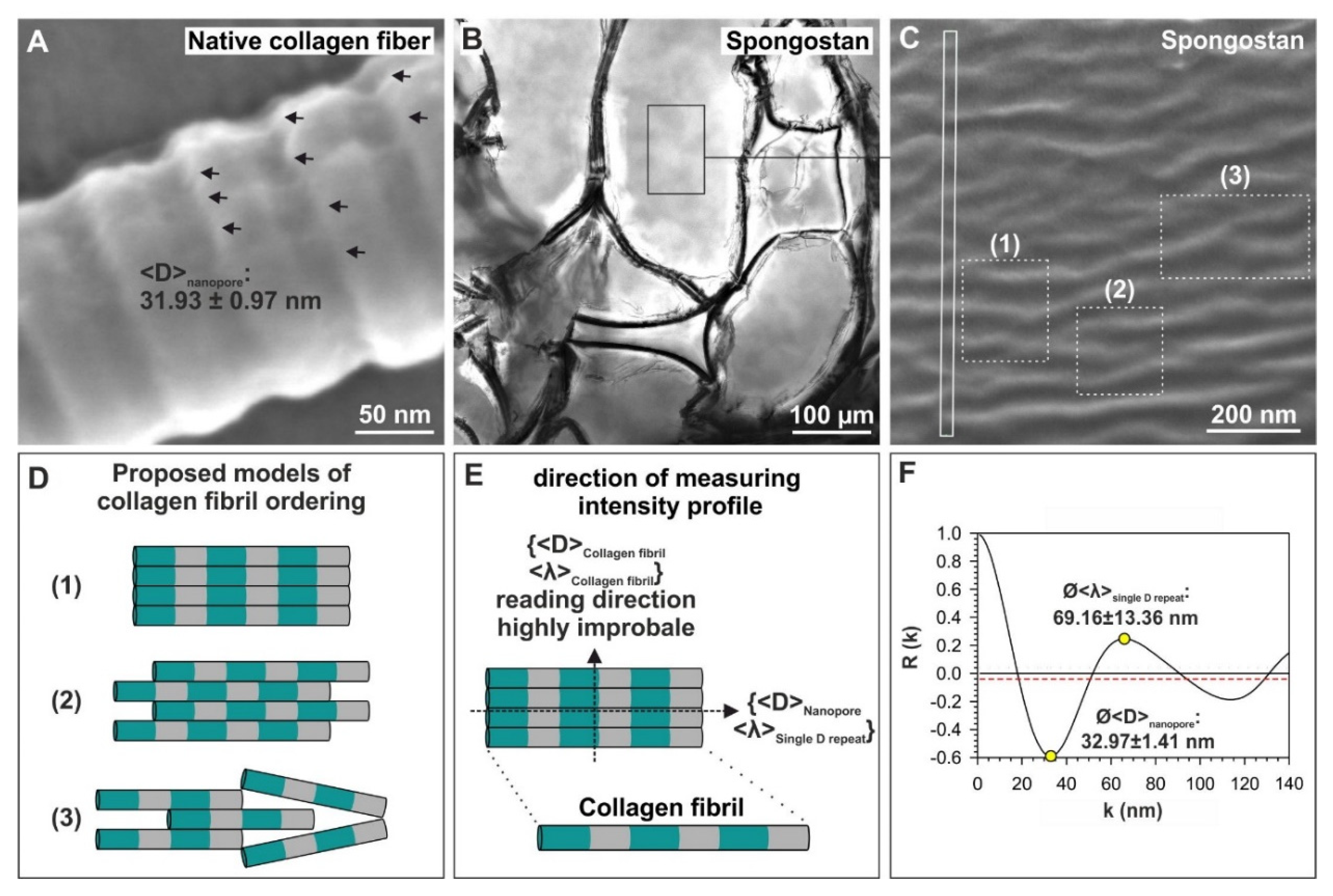 Cells 09 00654 g003 Cells 09 00654 g003