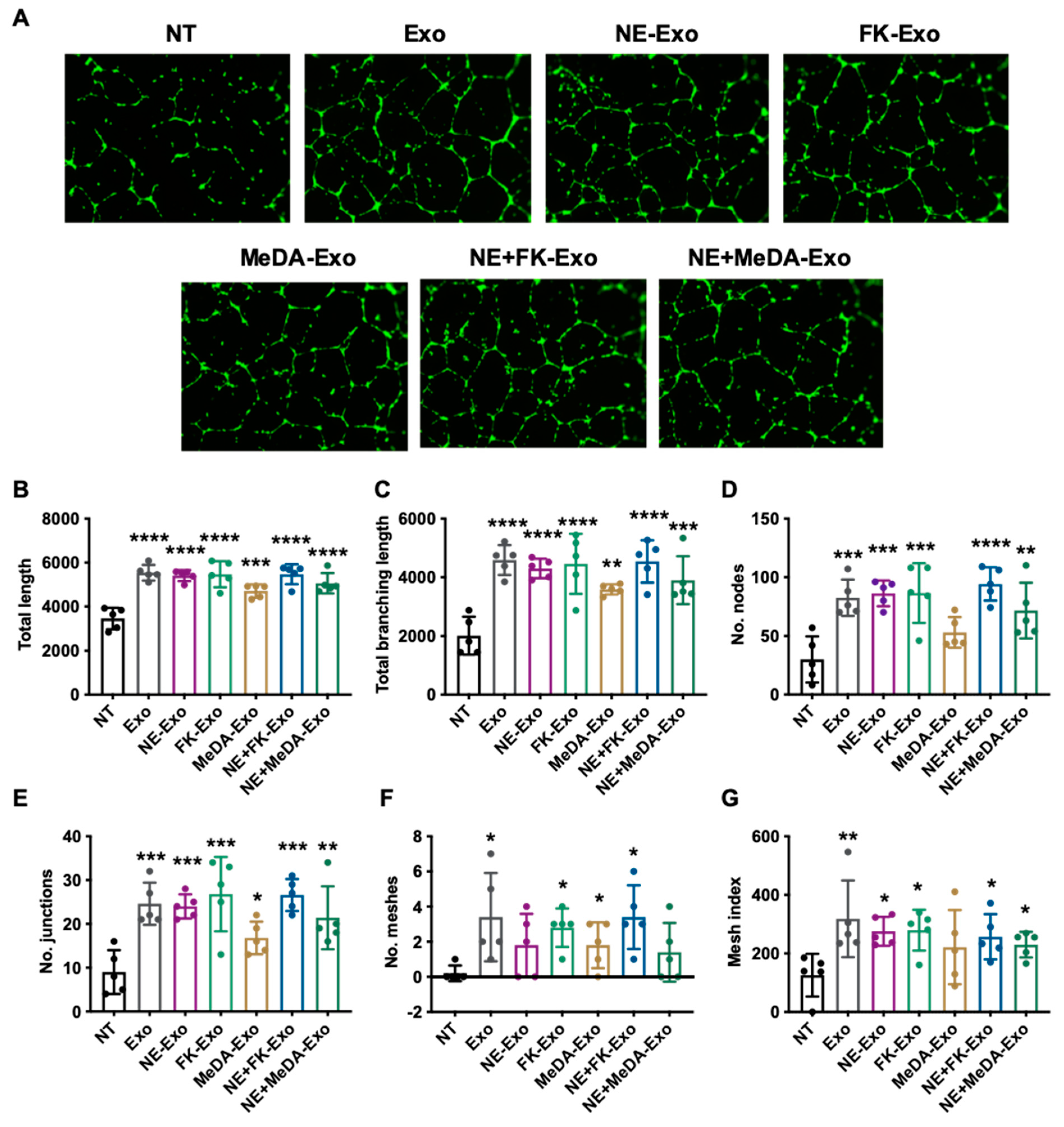Cells 09 00660 g004
