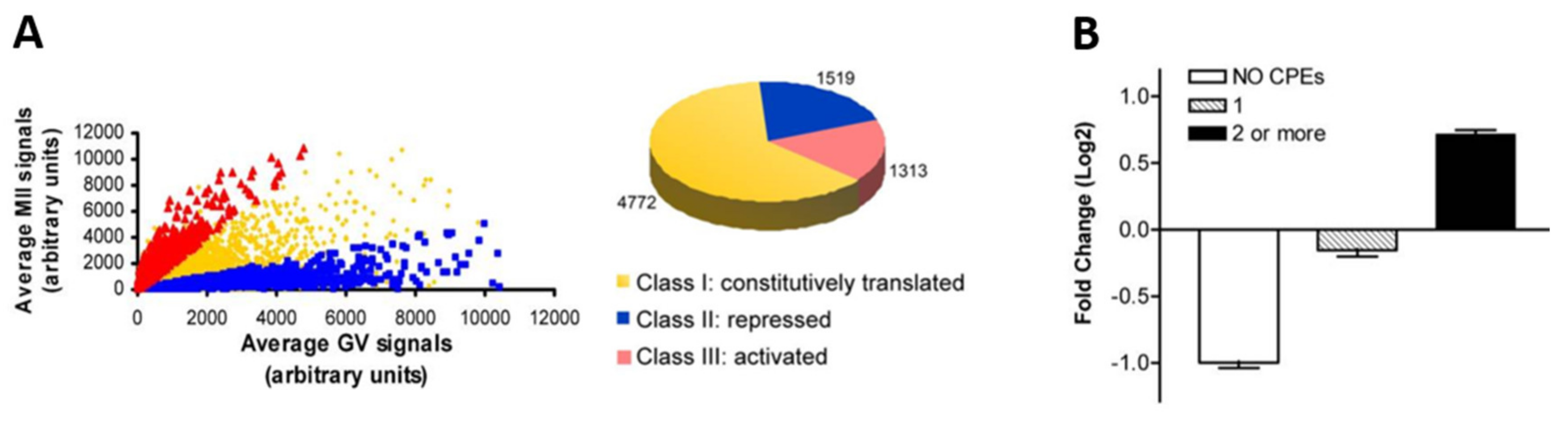 Cells 09 00662 g008 Cells 09 00662 g008