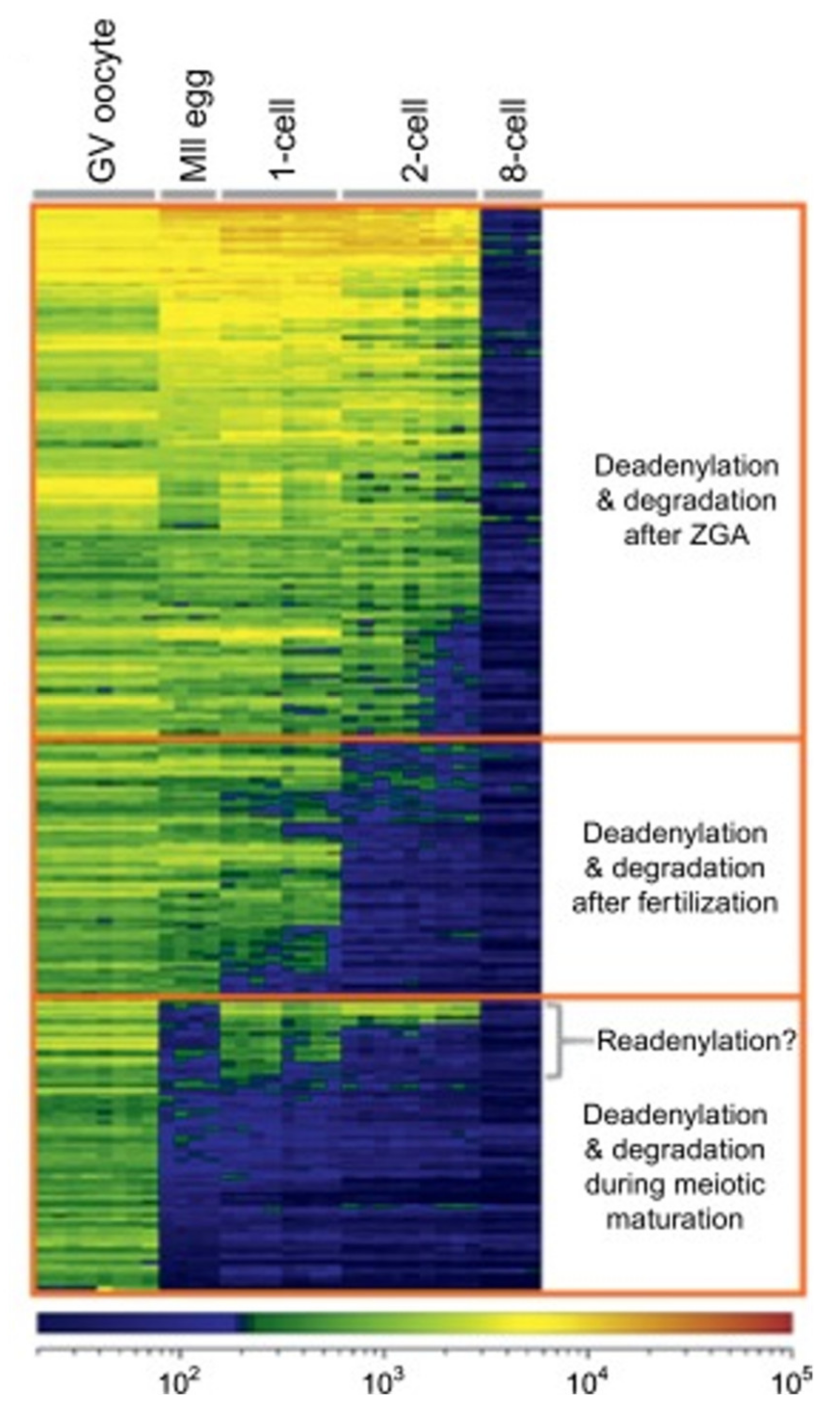 Cells 09 00662 g009 Cells 09 00662 g009