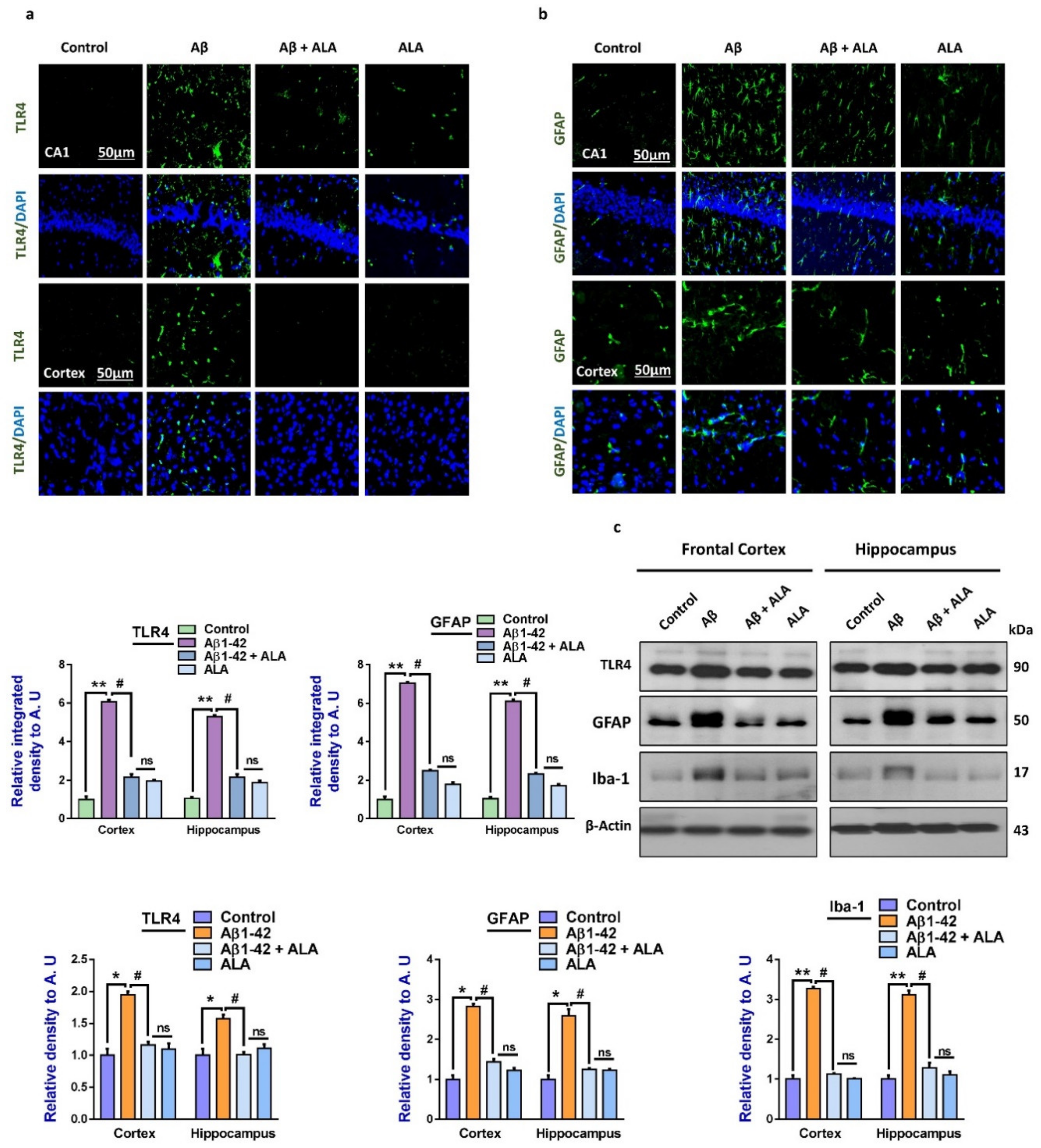 Cells 09 00667 g001 Cells 09 00667 g001