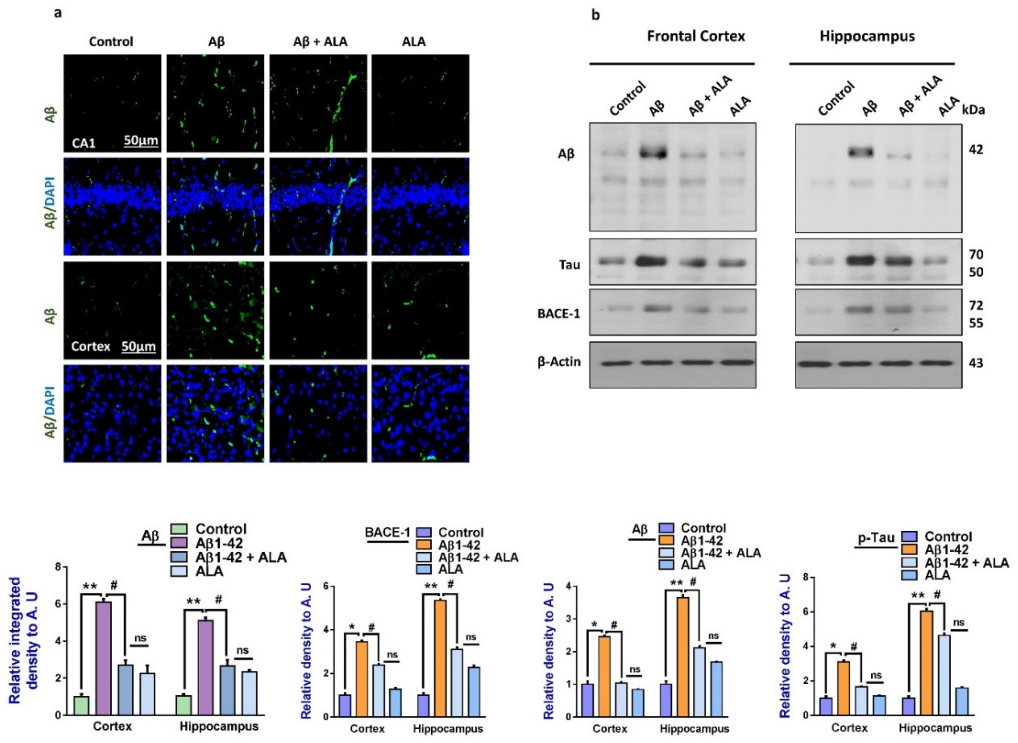 Cells 09 00667 g004 Cells 09 00667 g004