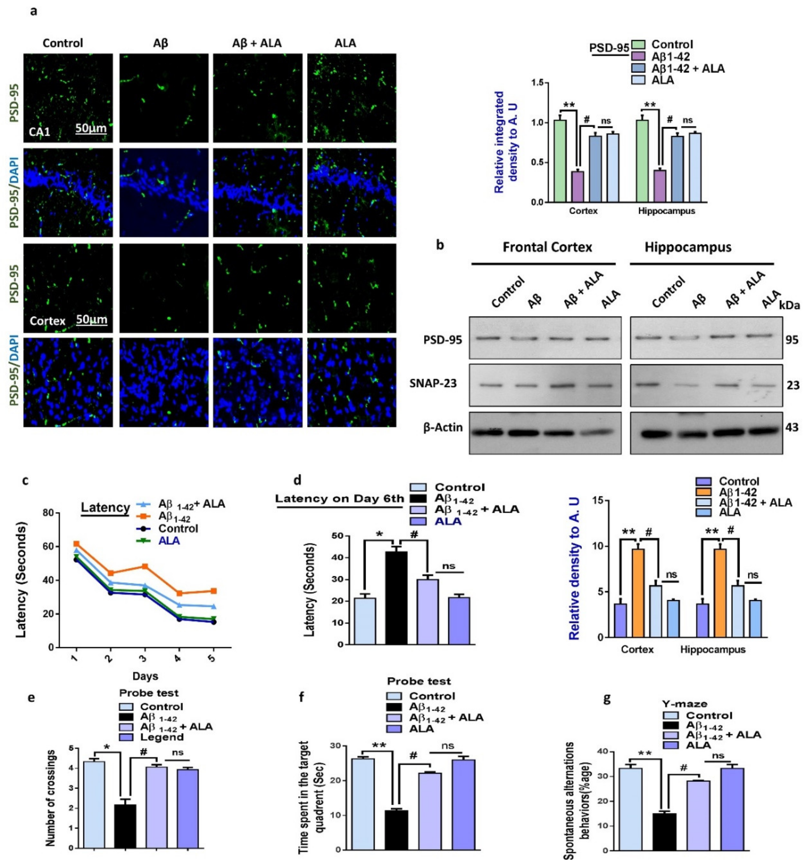 Cells 09 00667 g005 Cells 09 00667 g005