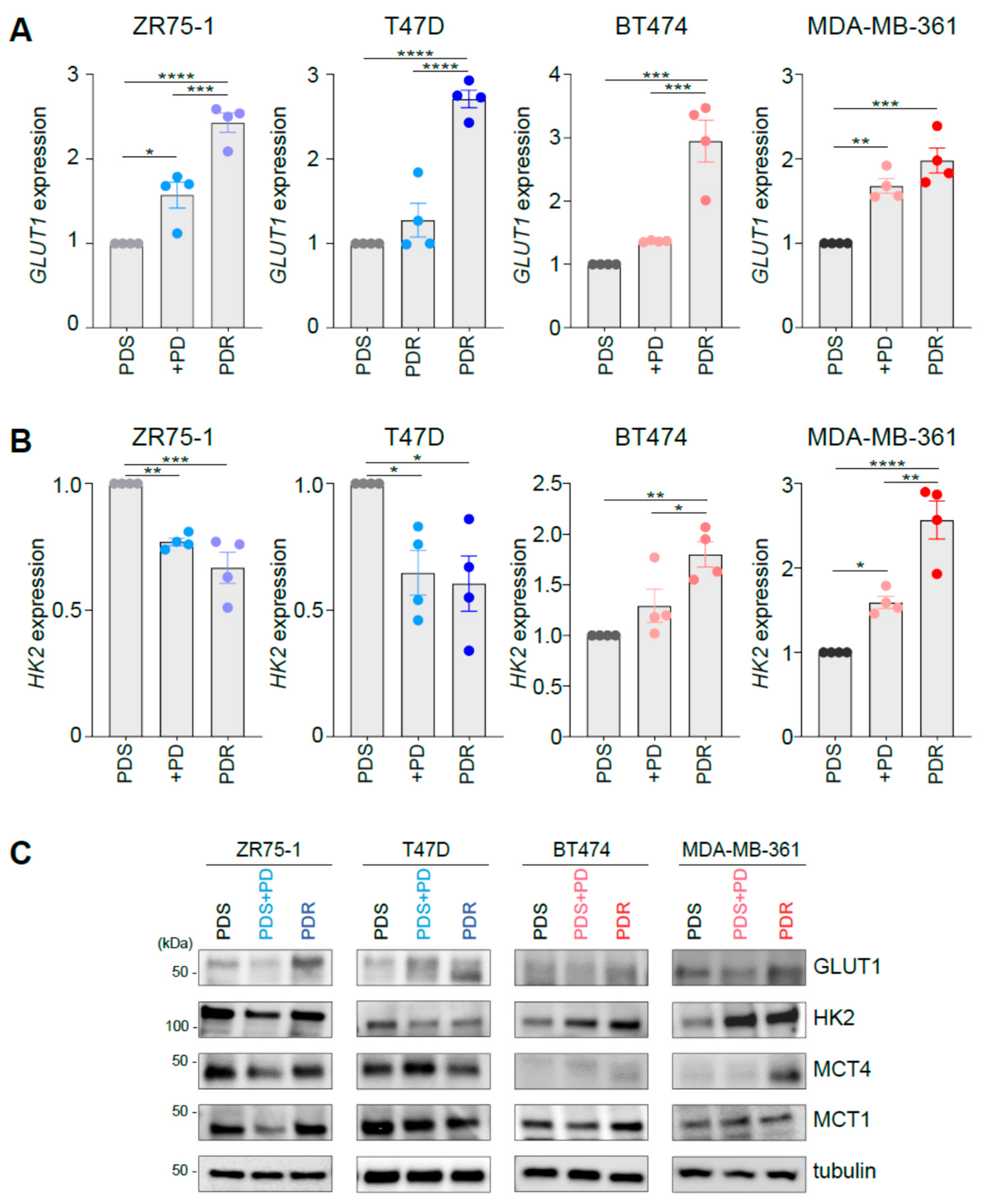 Cells Free Full Text Glucose Metabolic Reprogramming Of Er Breast Cancer In Acquired Resistance To The Cdk4 6 Inhibitor Palbociclib Html Cells Free Full Text Glucose Metabolic Reprogramming Of Er Breast Cancer In Acquired Resistance To The Cdk4 6 Inhibitor Palbociclib Html