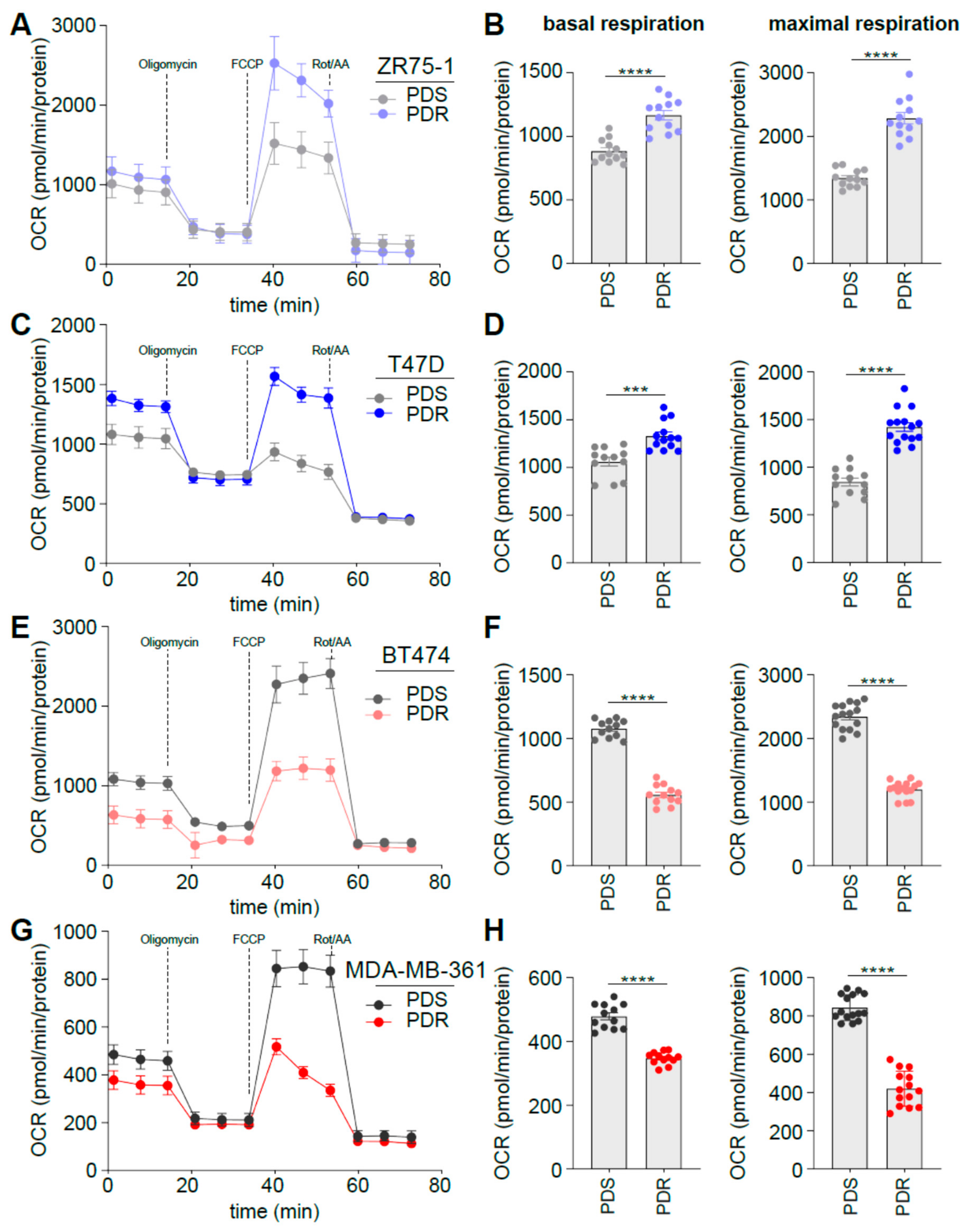 Cells Free Full Text Glucose Metabolic Reprogramming Of Er Breast Cancer In Acquired Resistance To The Cdk4 6 Inhibitor Palbociclib Html Cells Free Full Text Glucose Metabolic Reprogramming Of Er Breast Cancer In Acquired Resistance To The Cdk4 6 Inhibitor Palbociclib Html