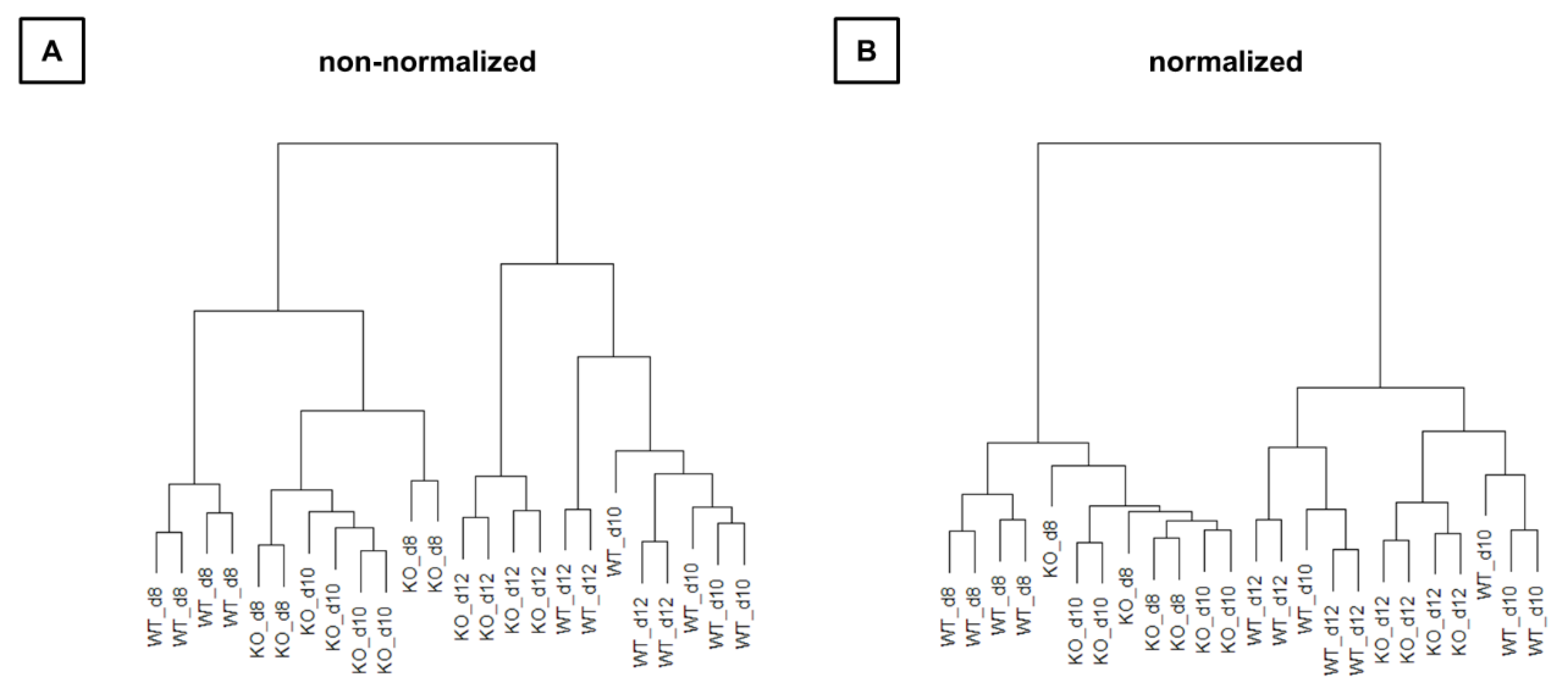 Cells 09 00676 g005 Cells 09 00676 g005