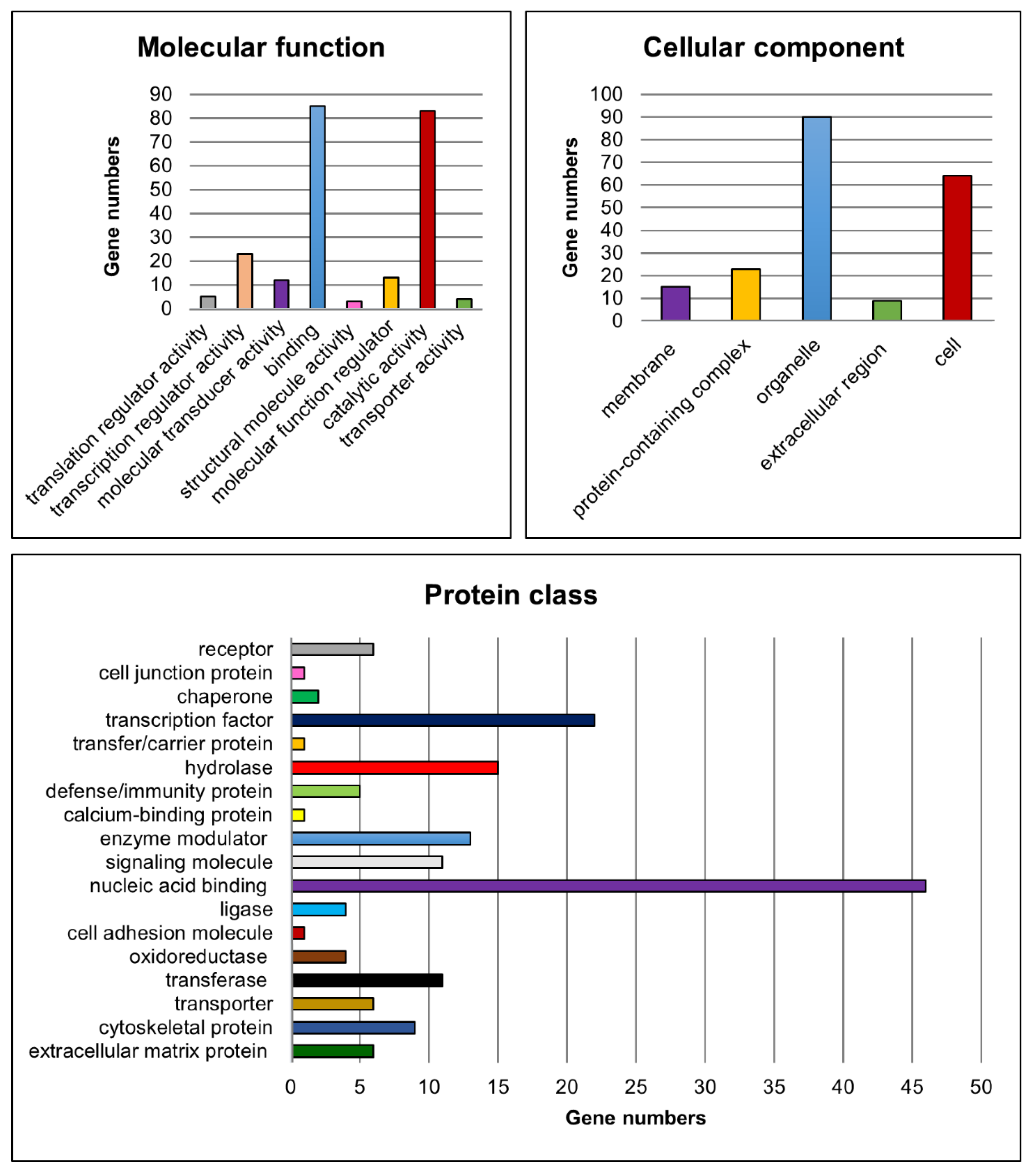 Cells 09 00676 g007 Cells 09 00676 g007