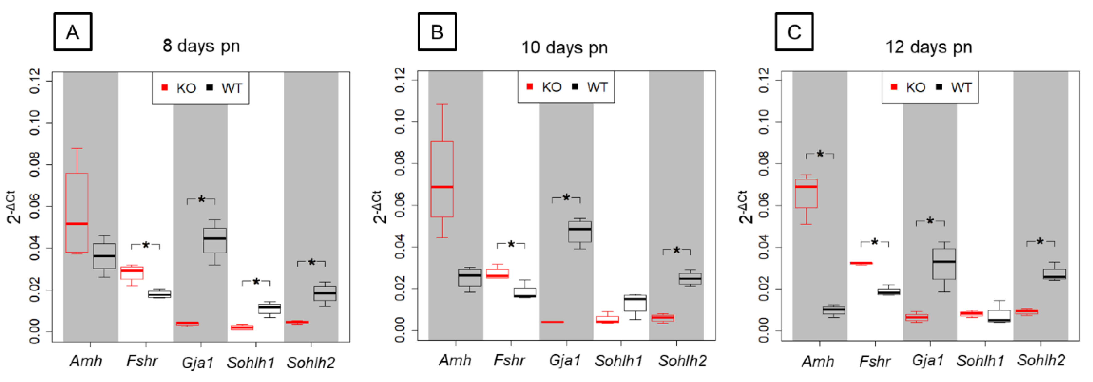Cells 09 00676 g008 Cells 09 00676 g008