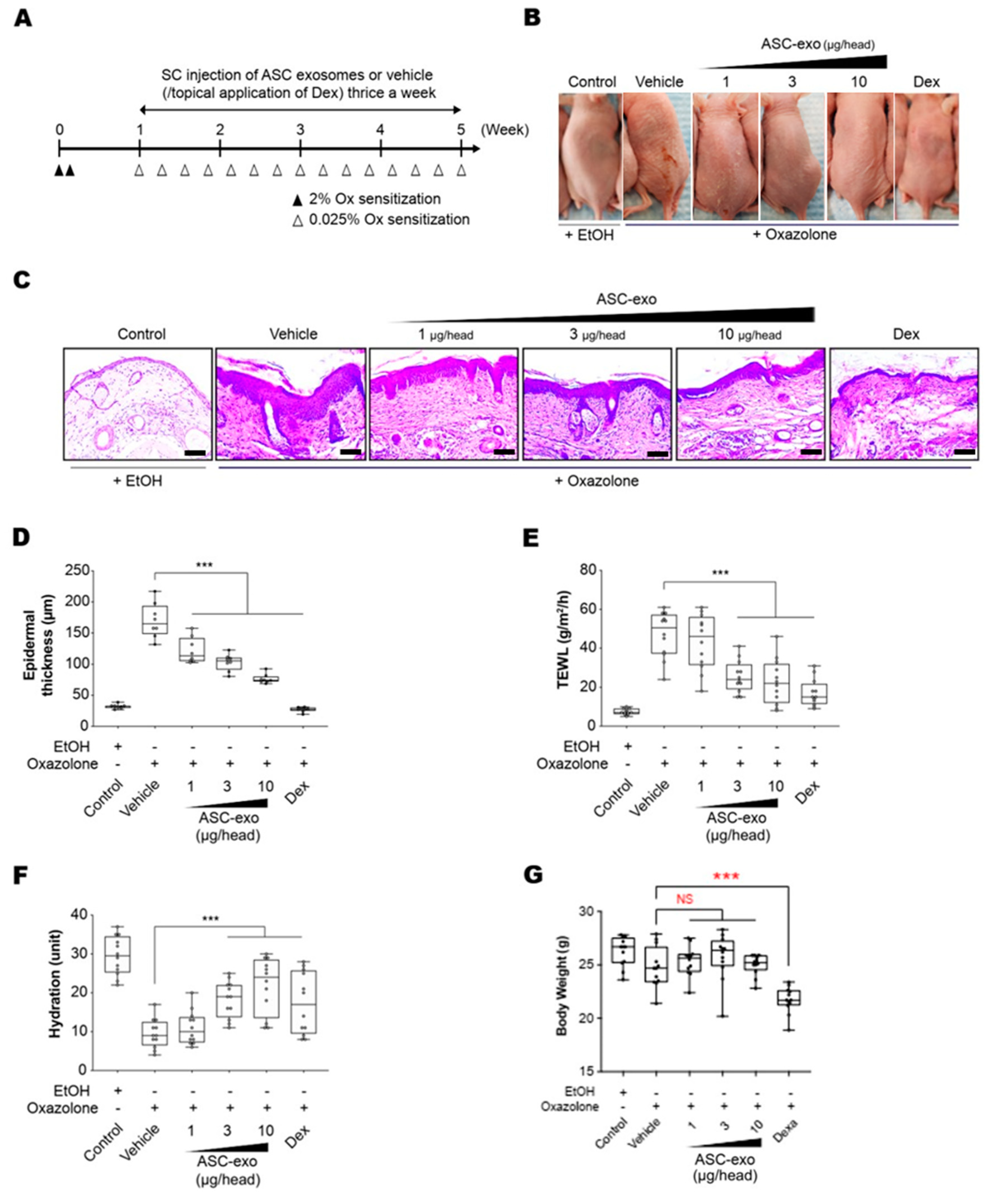 Cells 09 00680 g003 Cells 09 00680 g003