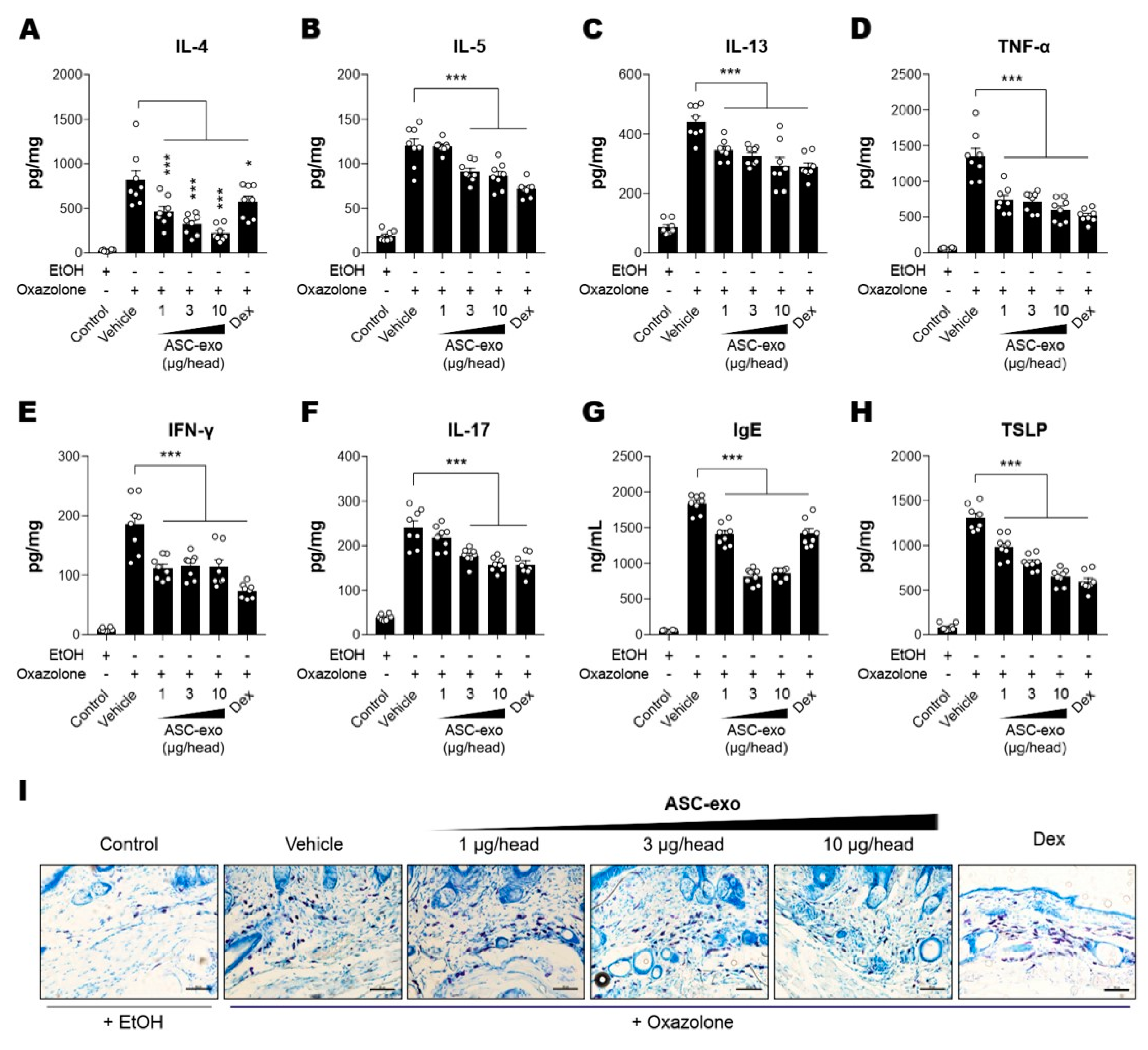 Cells Free Full Text Exosomes From Human Adipose Tissue Derived Mesenchymal Stem Cells Promote Epidermal Barrier Repair By Inducing De Novo Synthesis Of Ceramides In Atopic Dermatitis Html