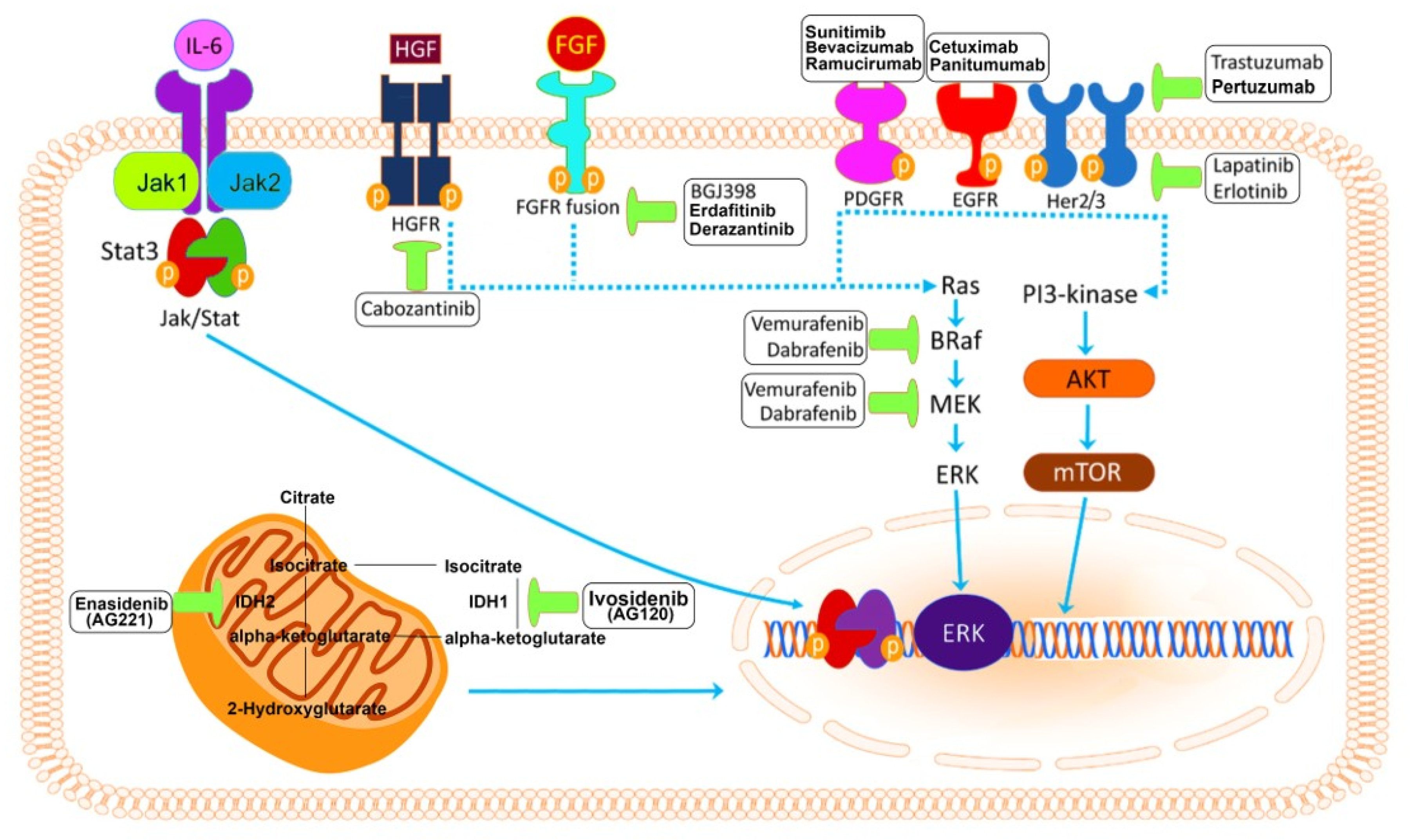 Cells 09 00688 g001 Cells 09 00688 g001