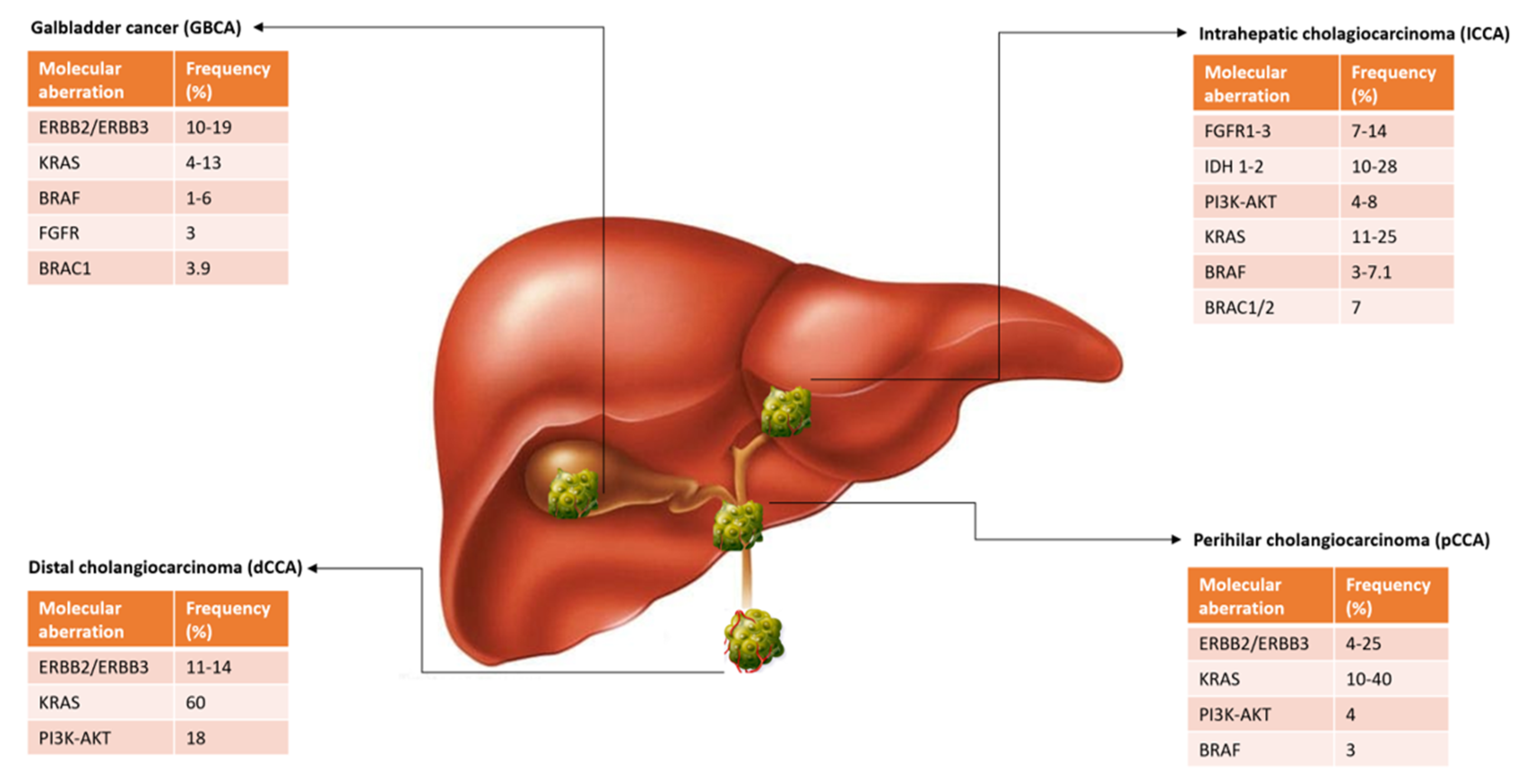 Cells 09 00688 g002 Cells 09 00688 g002