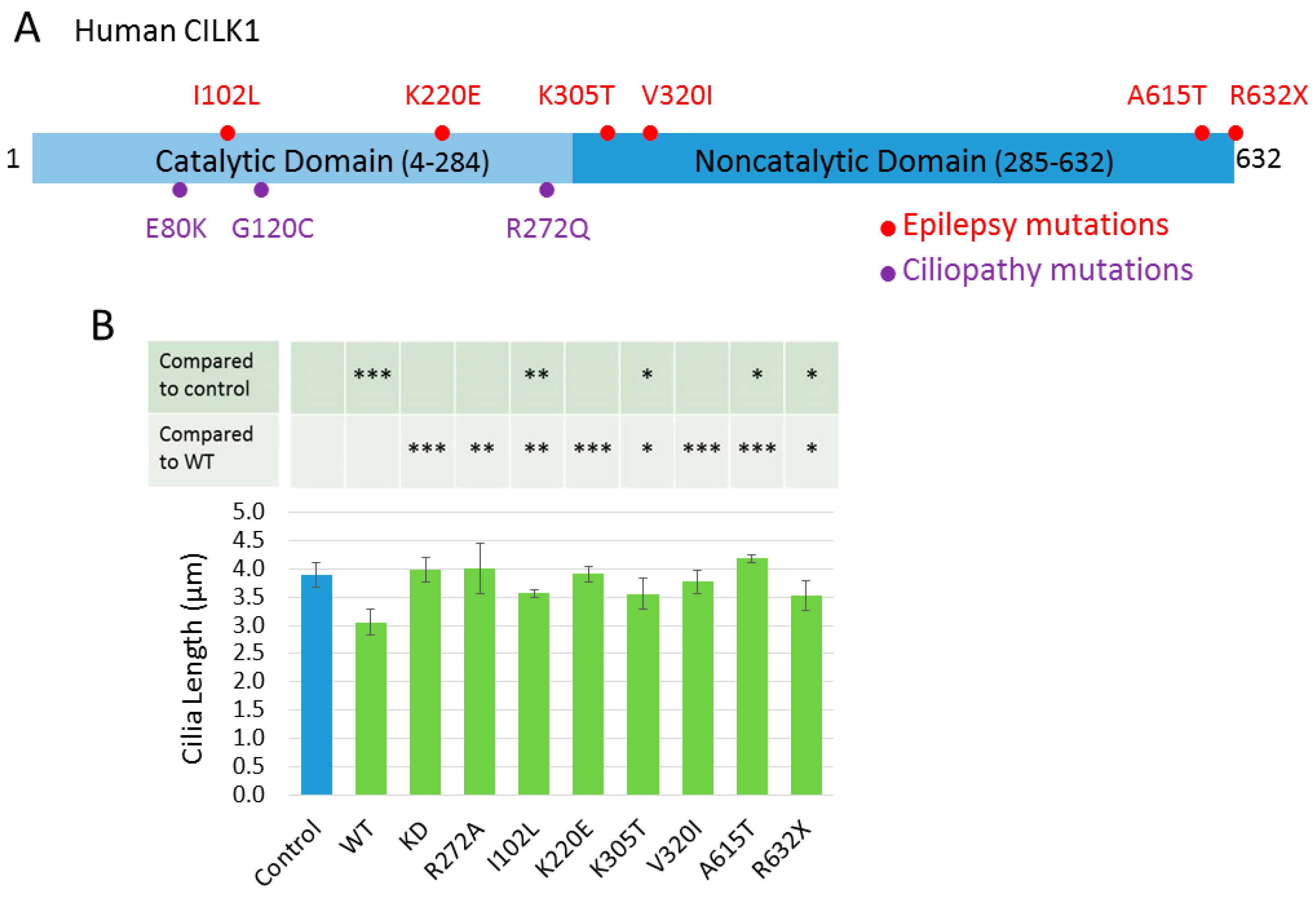 Cells 09 00694 g001 Cells 09 00694 g001