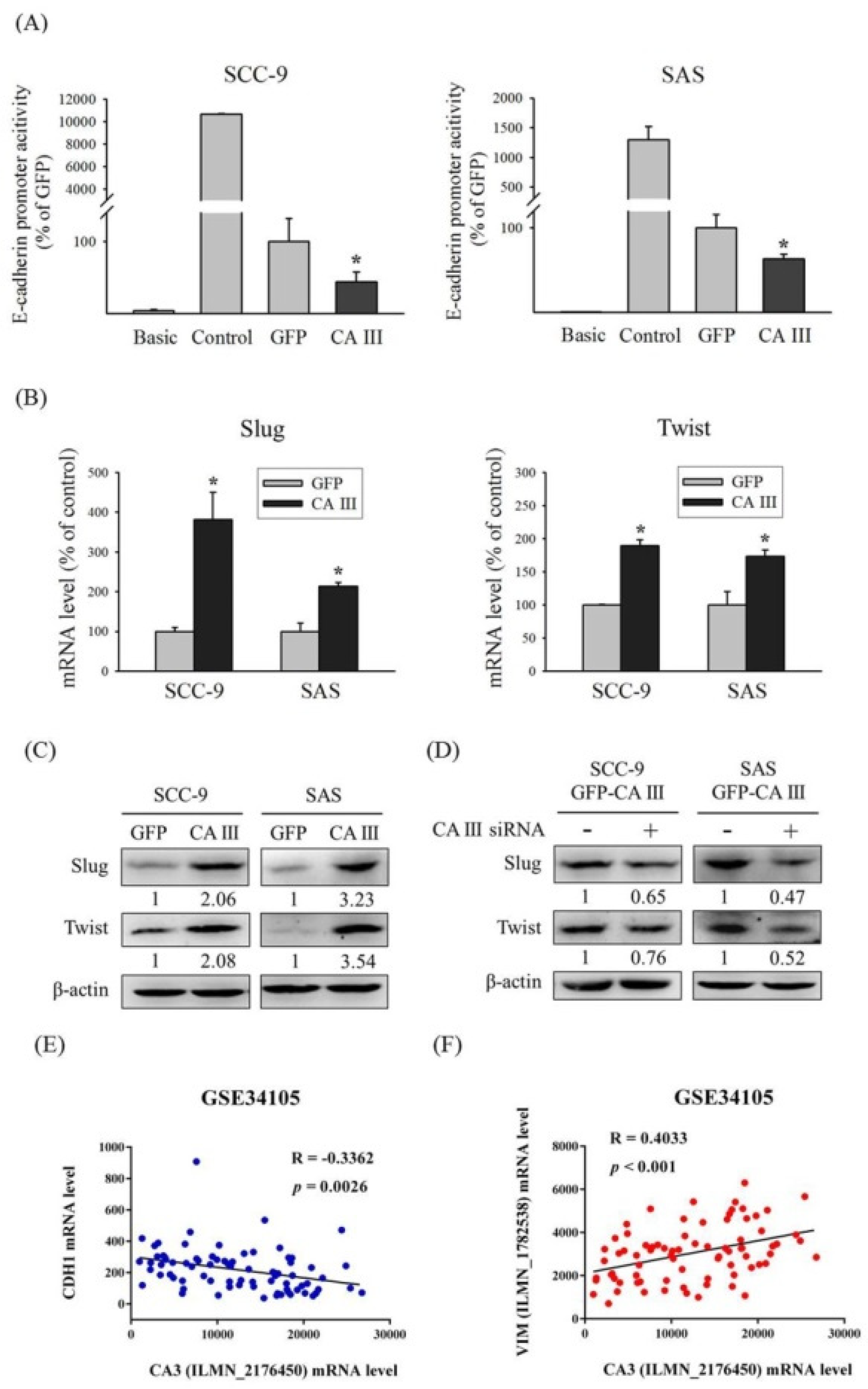 Cells 09 00704 g003 Cells 09 00704 g003