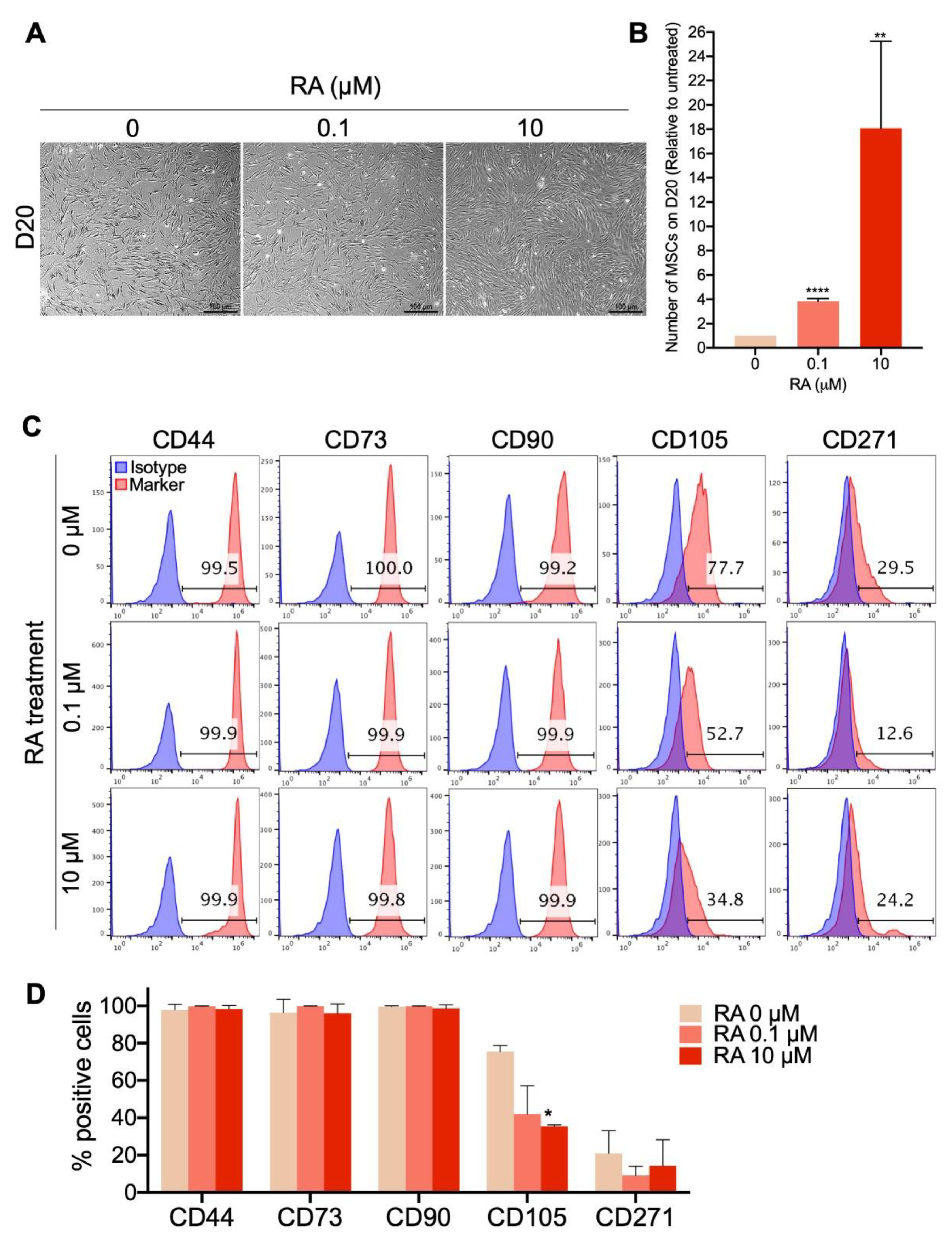 Cells 09 00710 g003 Cells 09 00710 g003