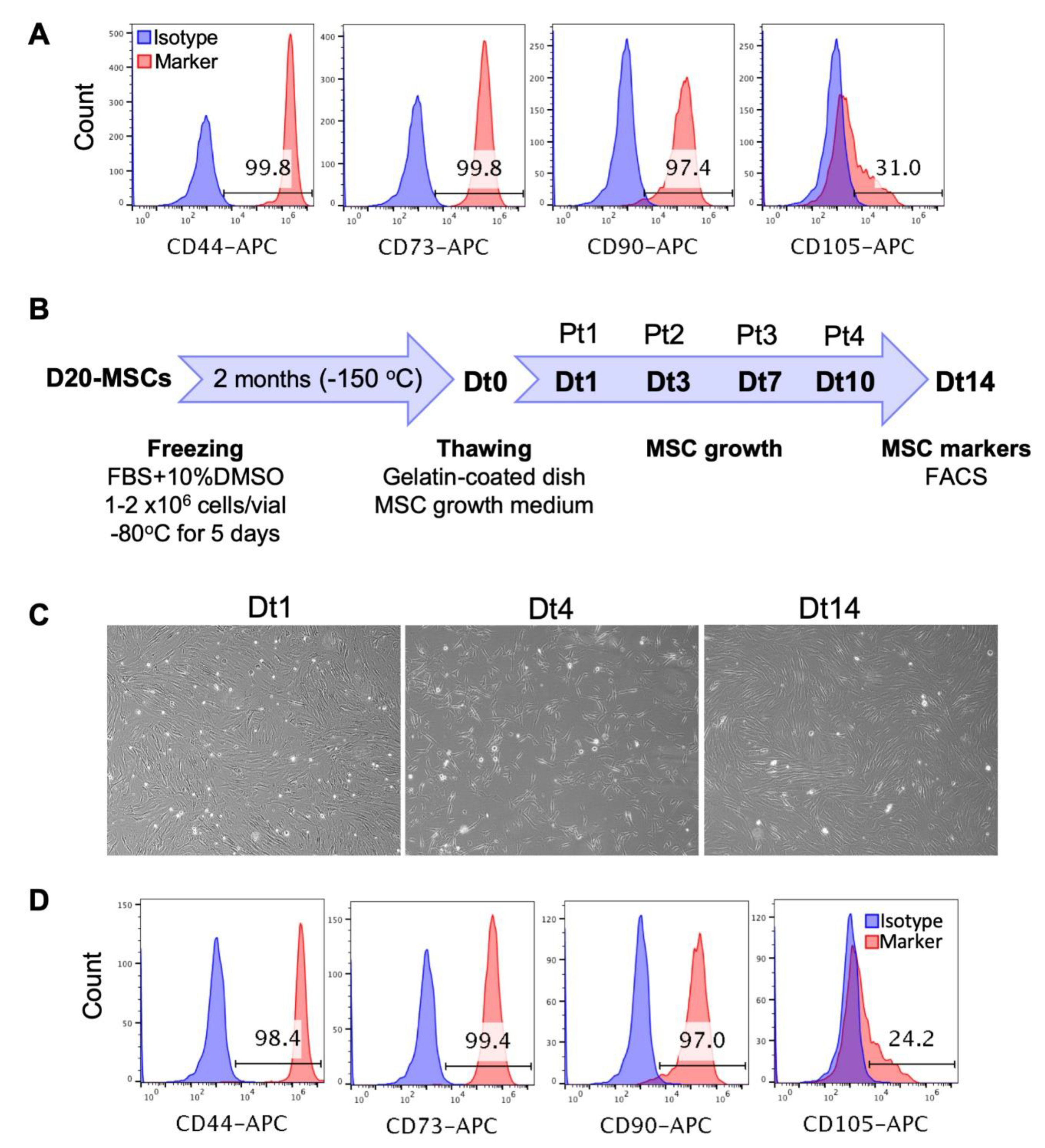 Cells 09 00710 g004 Cells 09 00710 g004
