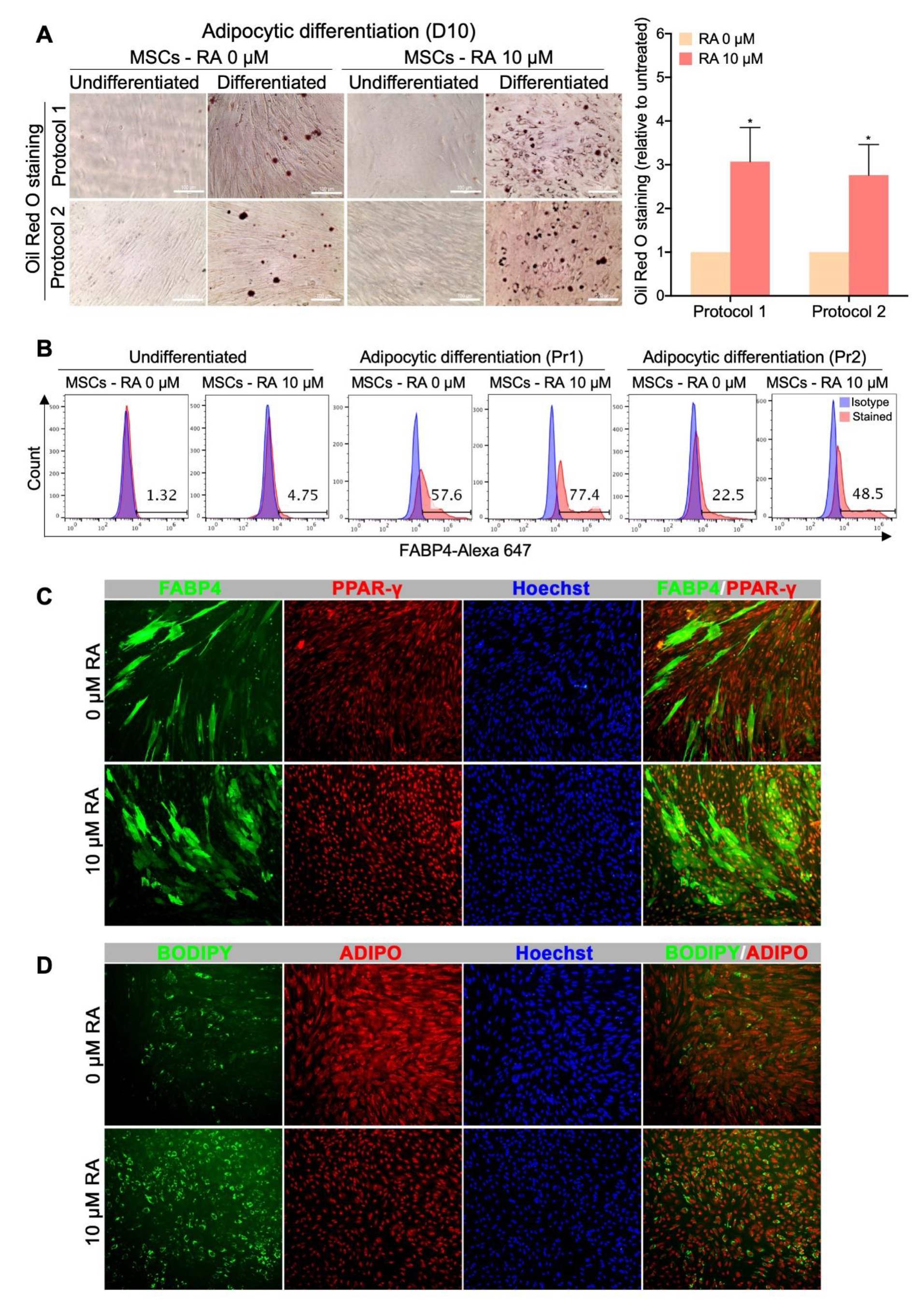 Cells 09 00710 g005 Cells 09 00710 g005