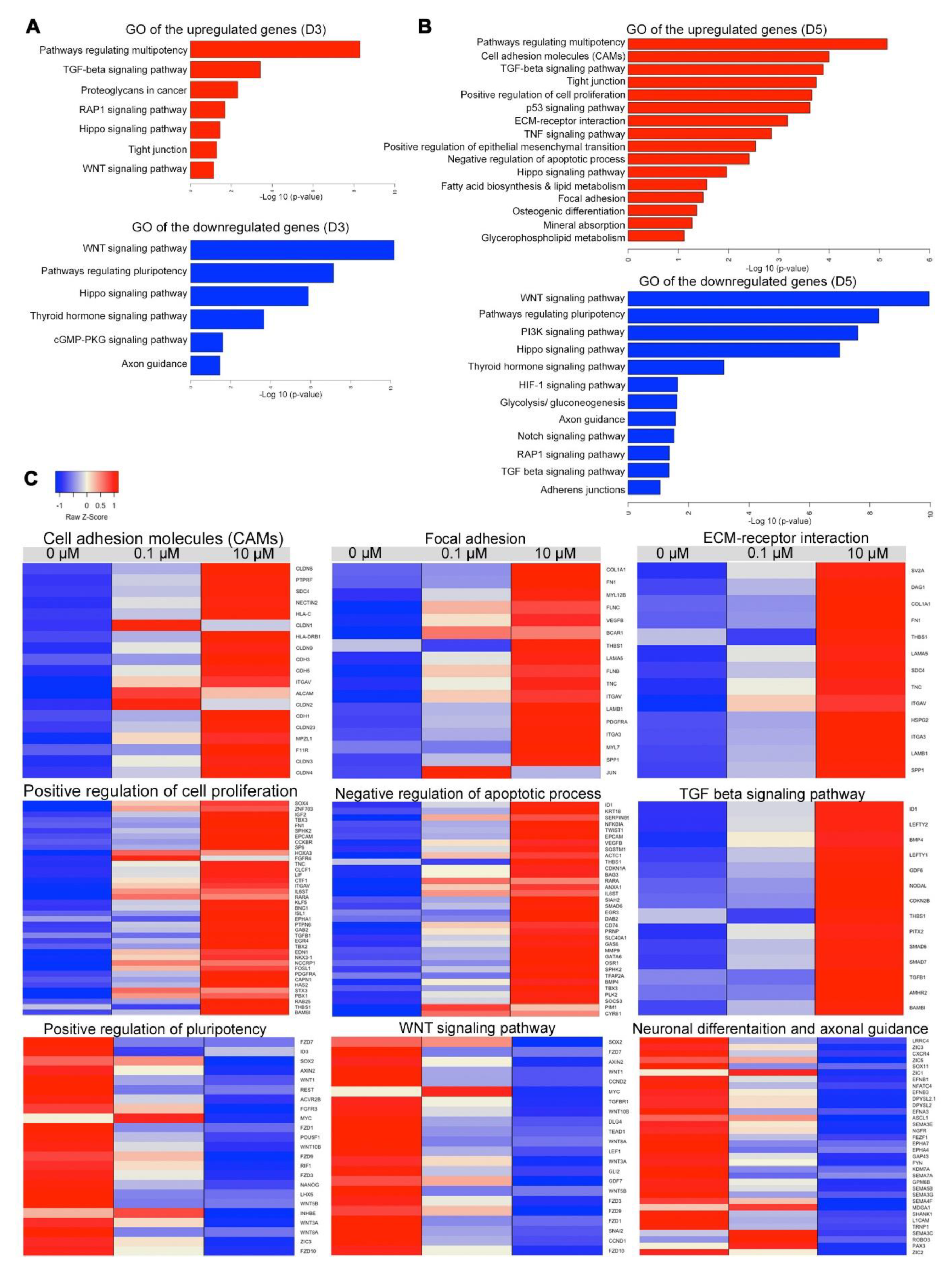 Cells 09 00710 g006 Cells 09 00710 g006