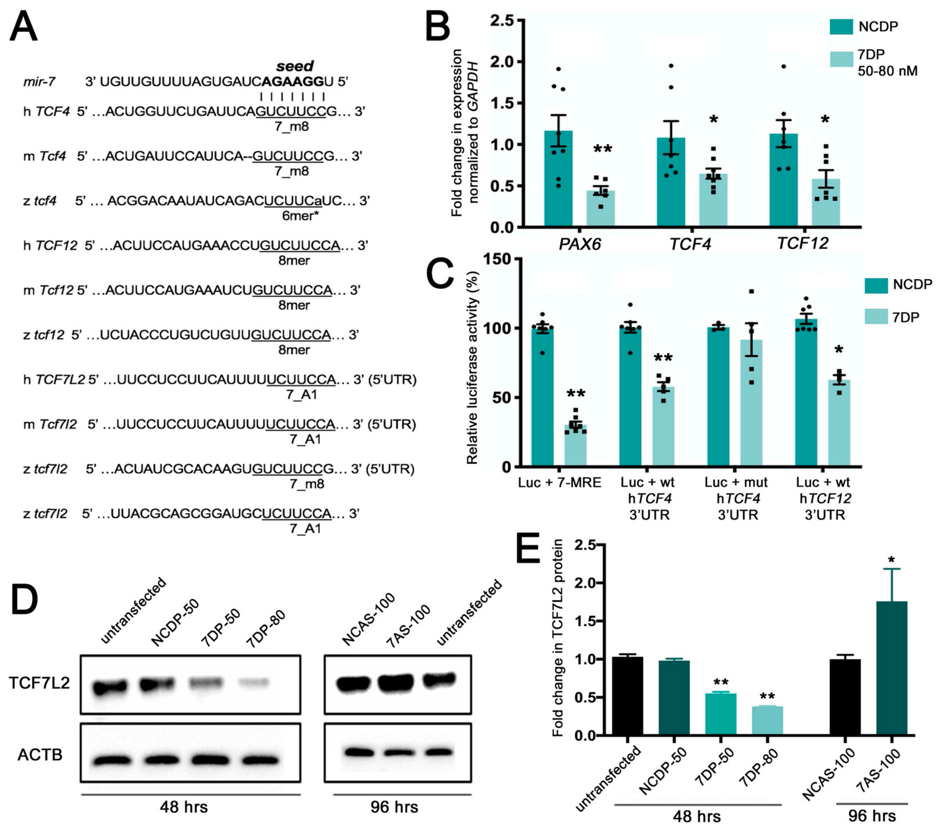 Cells 09 00711 g001