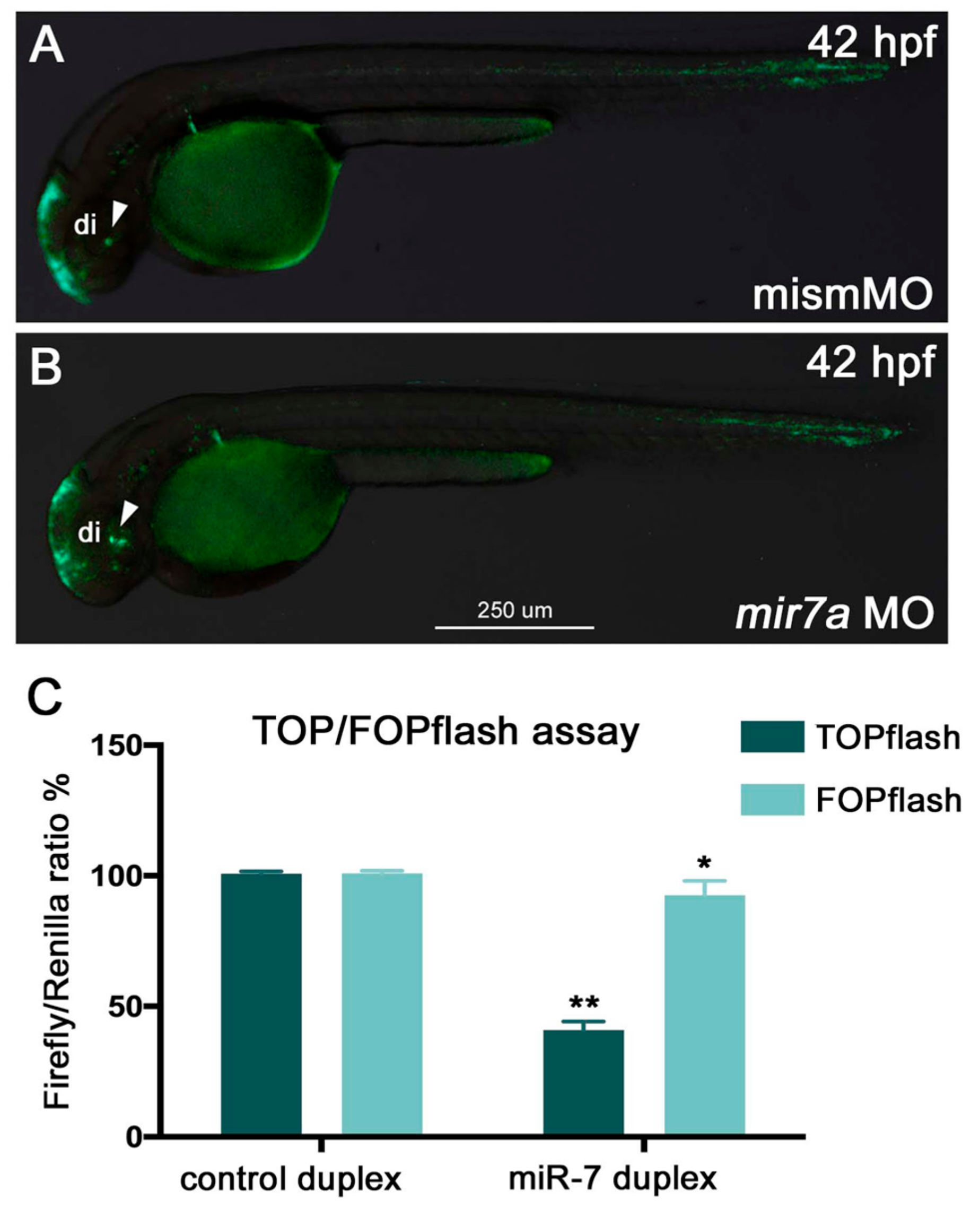 Cells 09 00711 g002