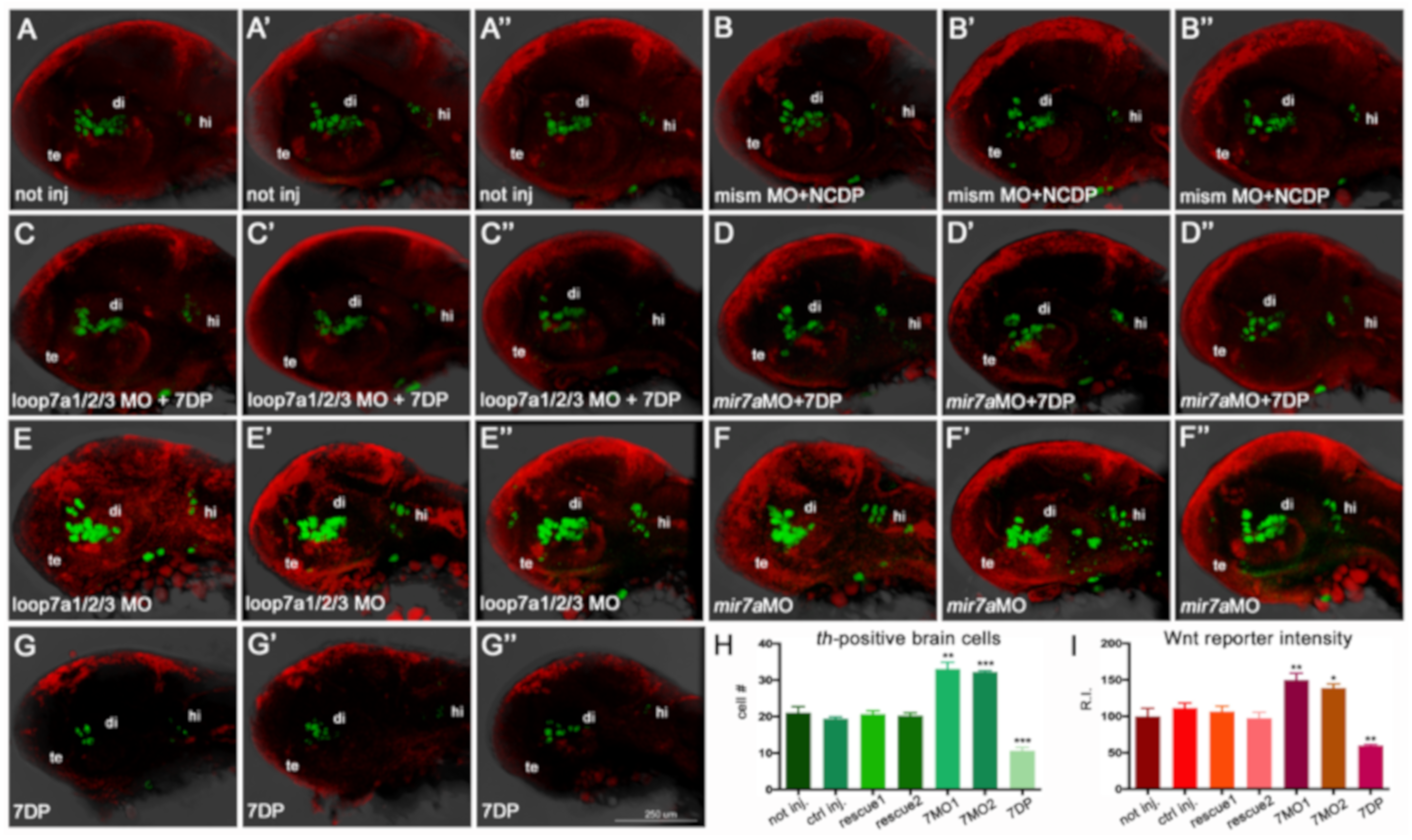 Cells 09 00711 g006
