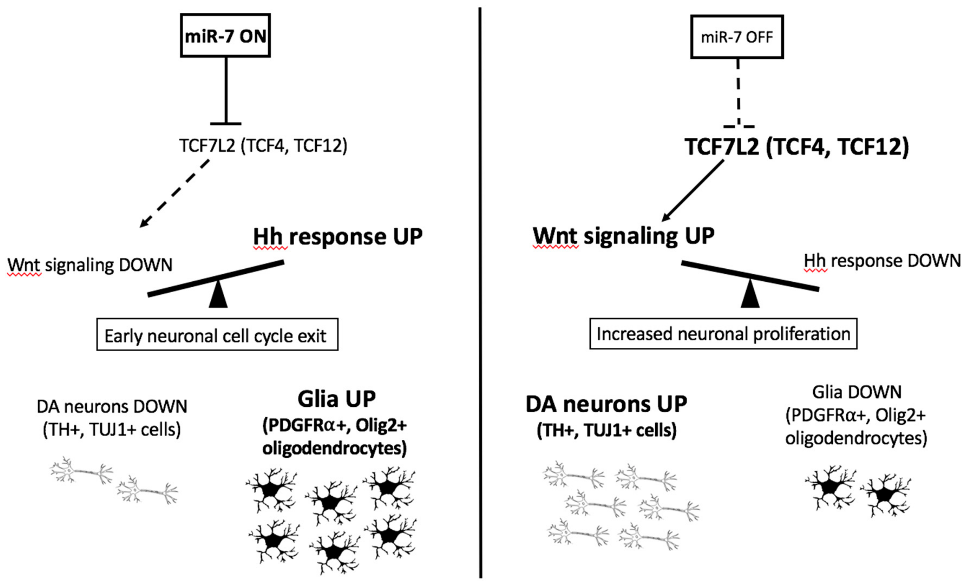 Cells 09 00711 g009