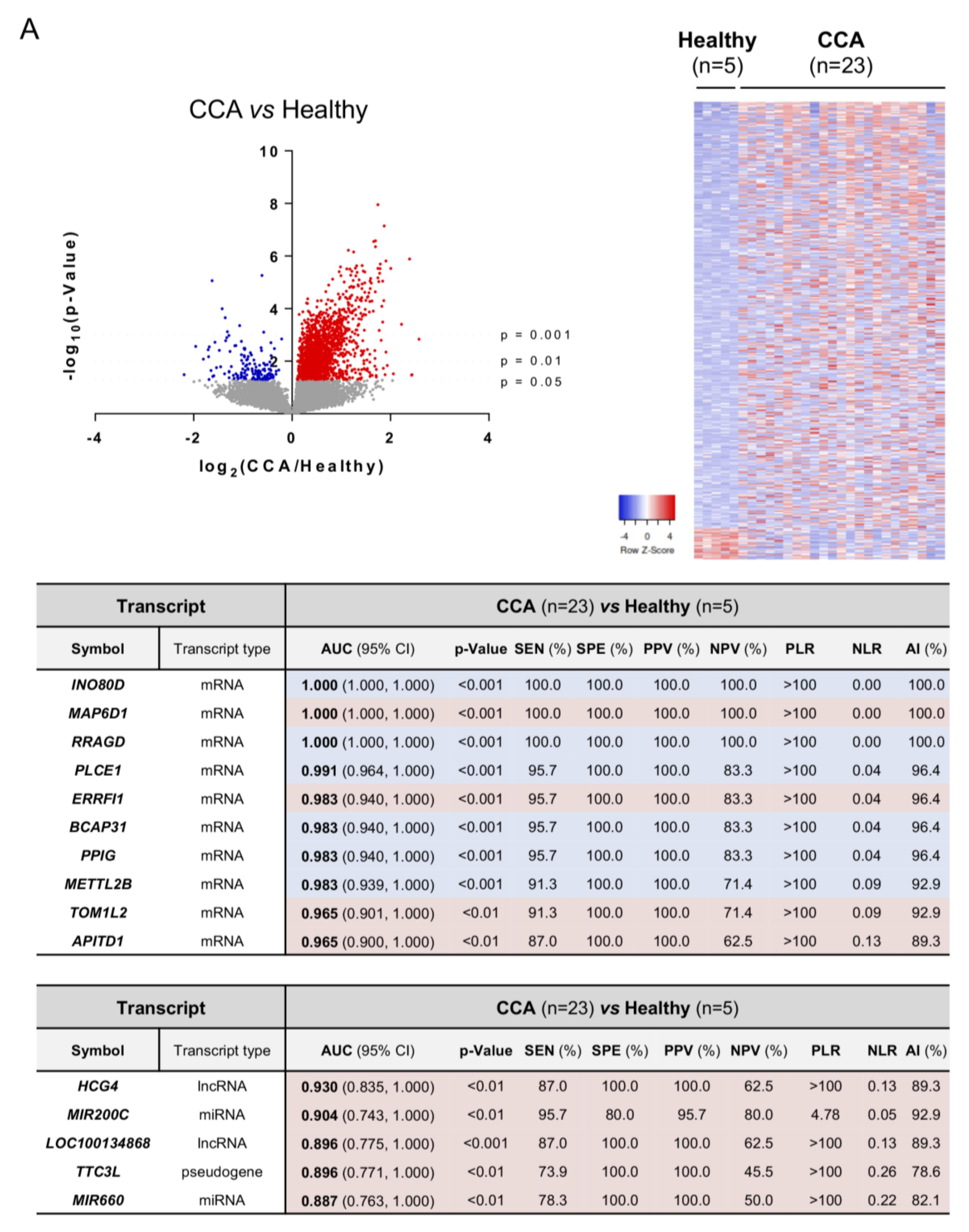 Cells 09 00721 g007a
