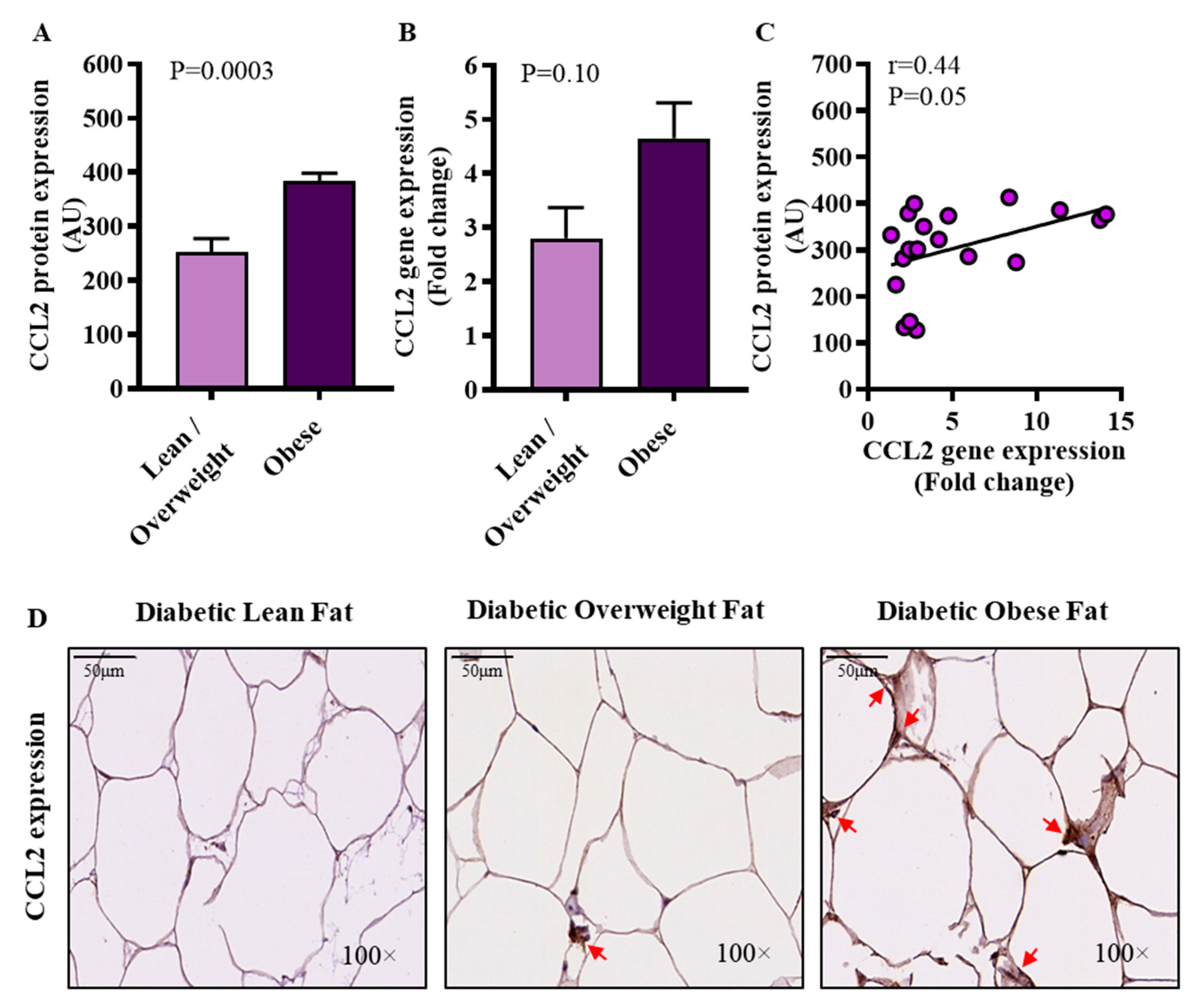 Cells 09 00730 g005 Cells 09 00730 g005