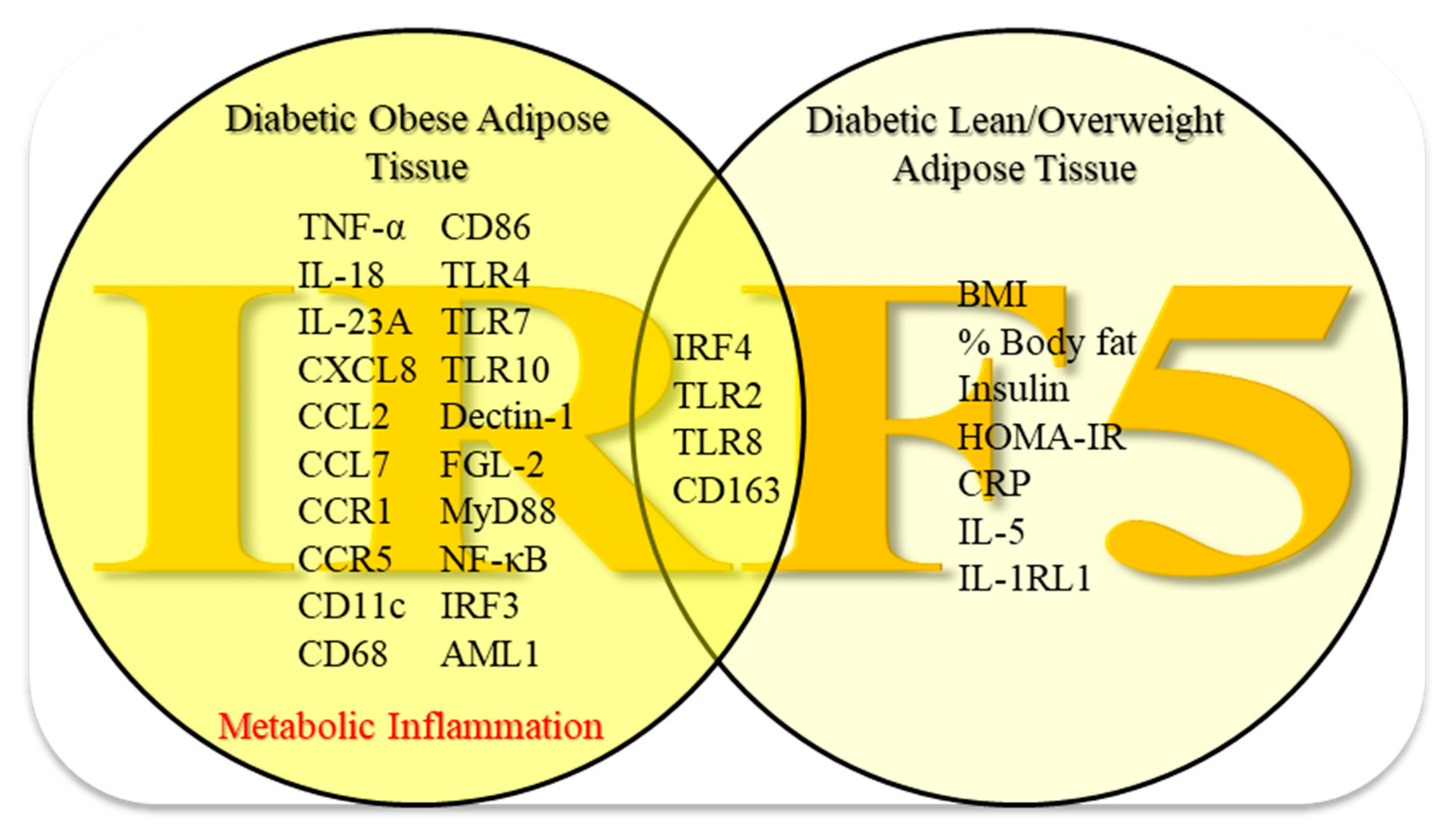 Cells 09 00730 g006 Cells 09 00730 g006
