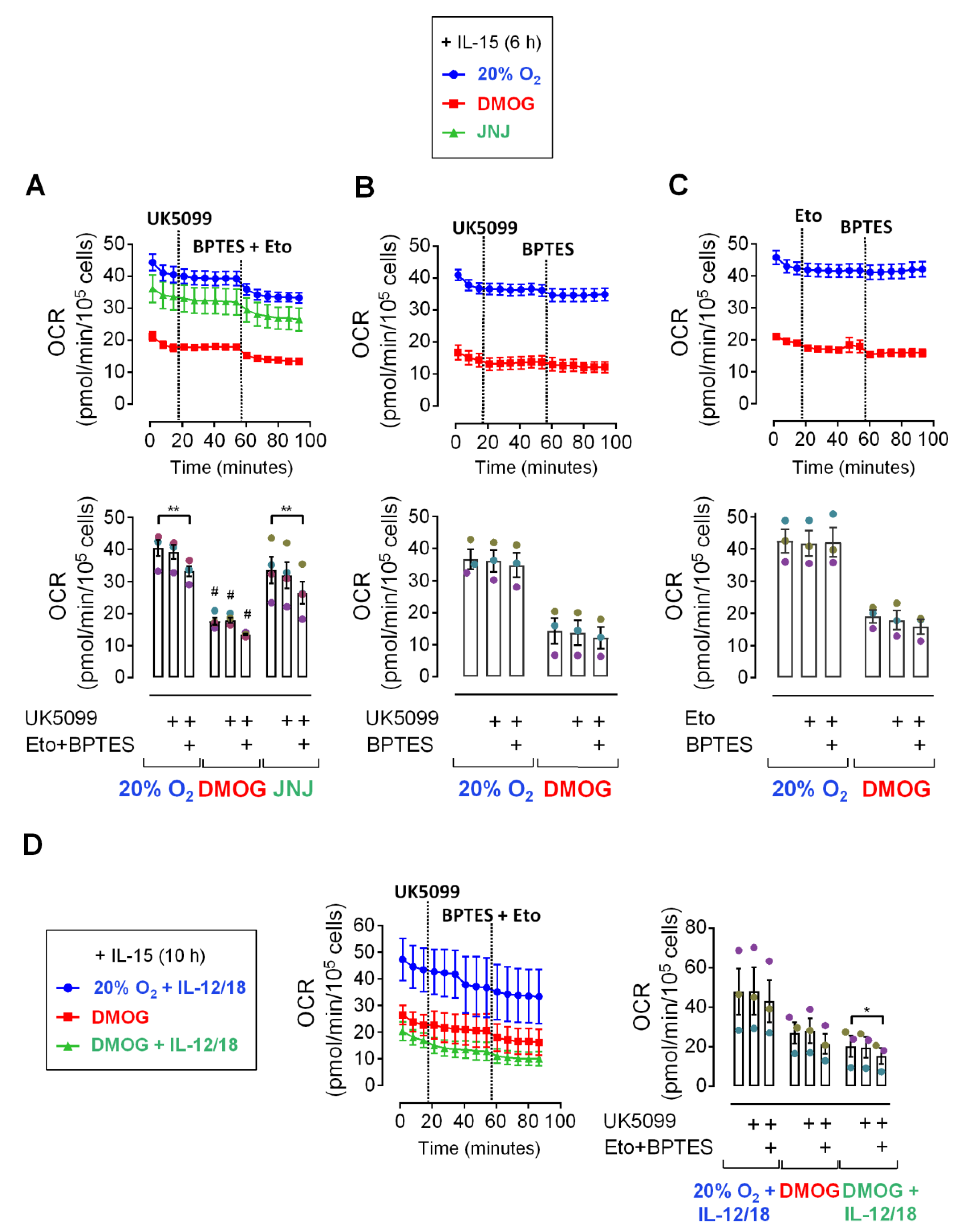 Cells 09 00734 g003 Cells 09 00734 g003