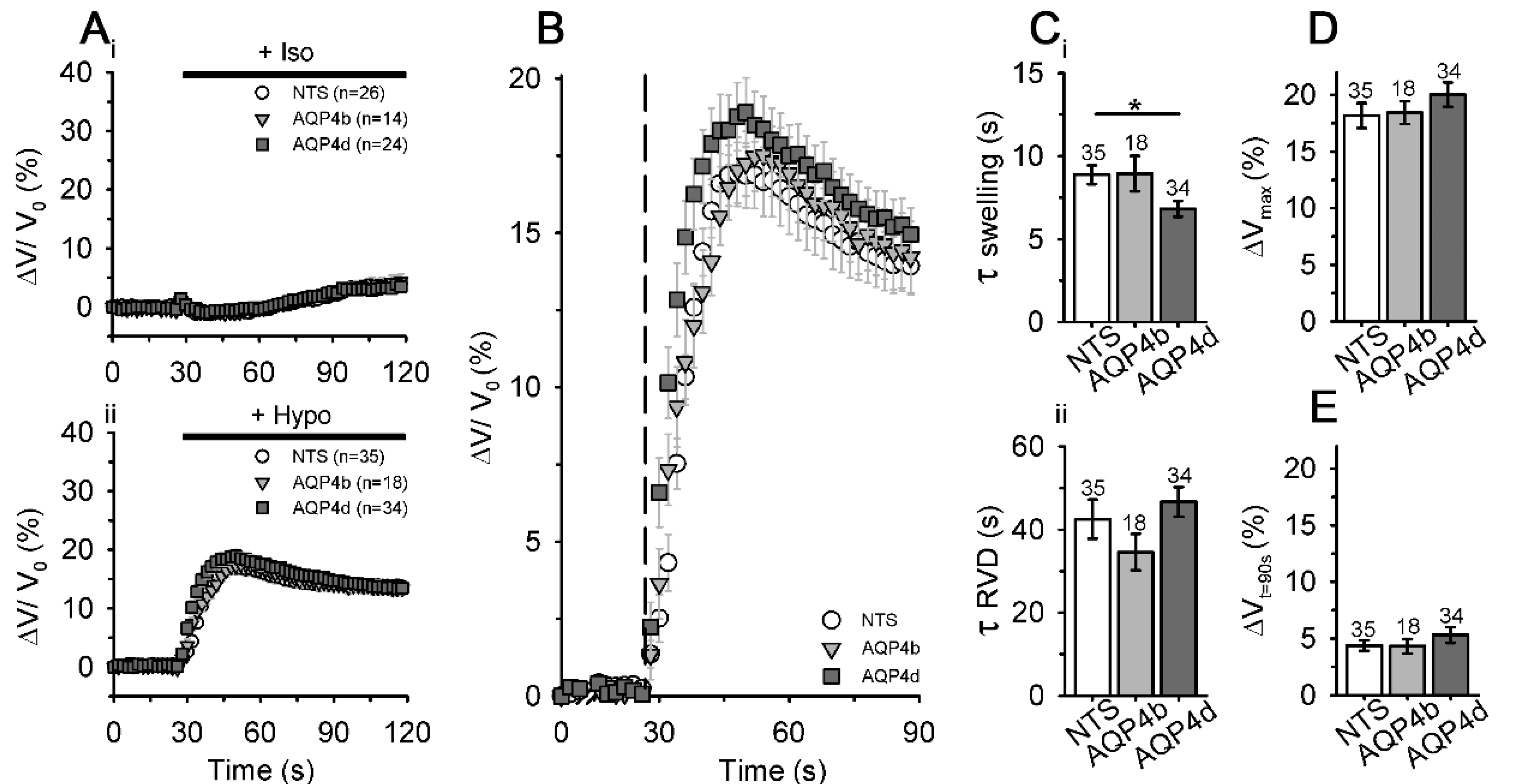 Cells 09 00735 g006 Cells 09 00735 g006