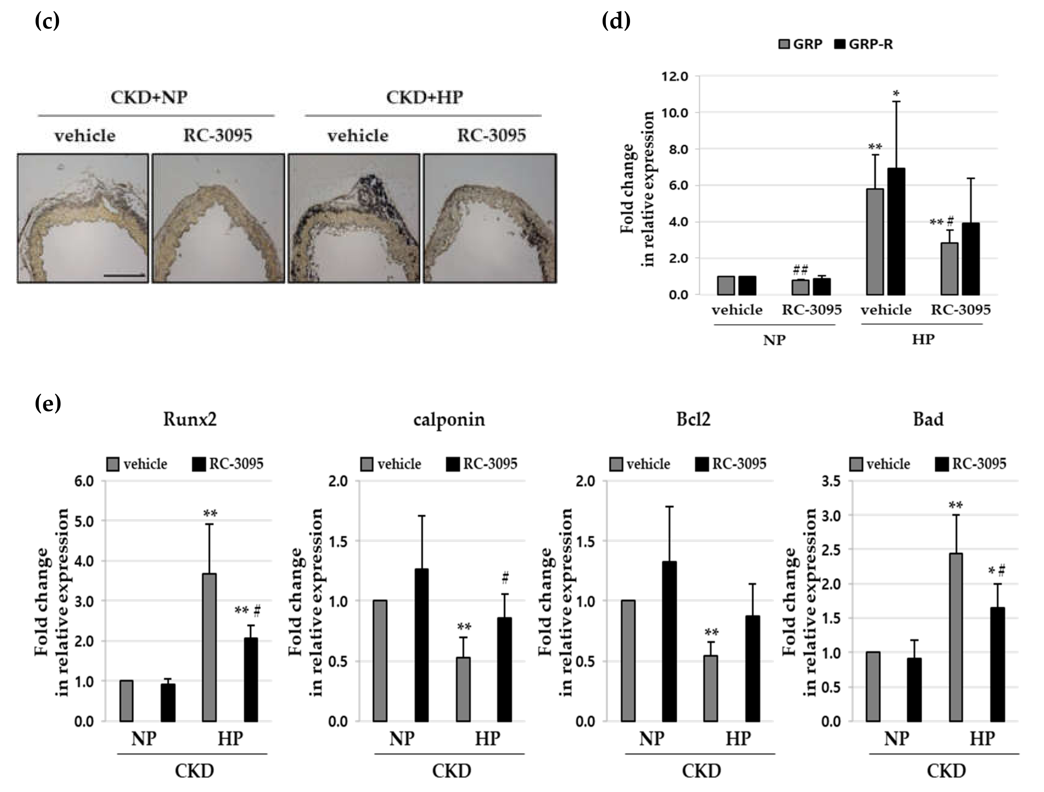 Cells 09 00737 g005b