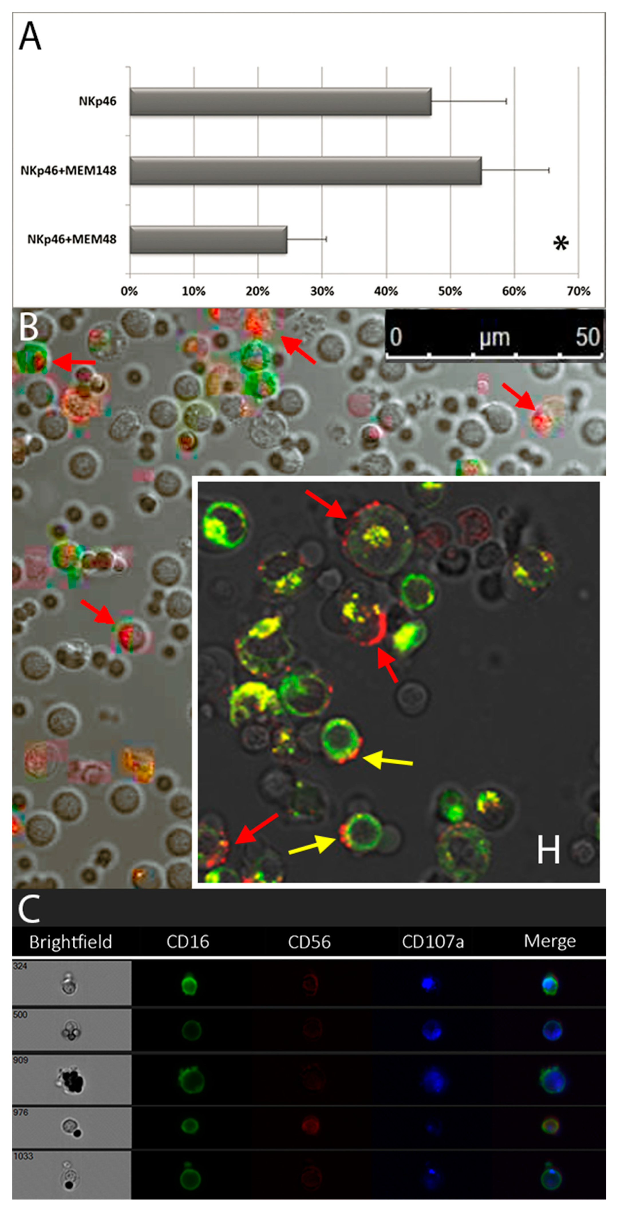 Cells 09 00753 g006 Cells 09 00753 g006