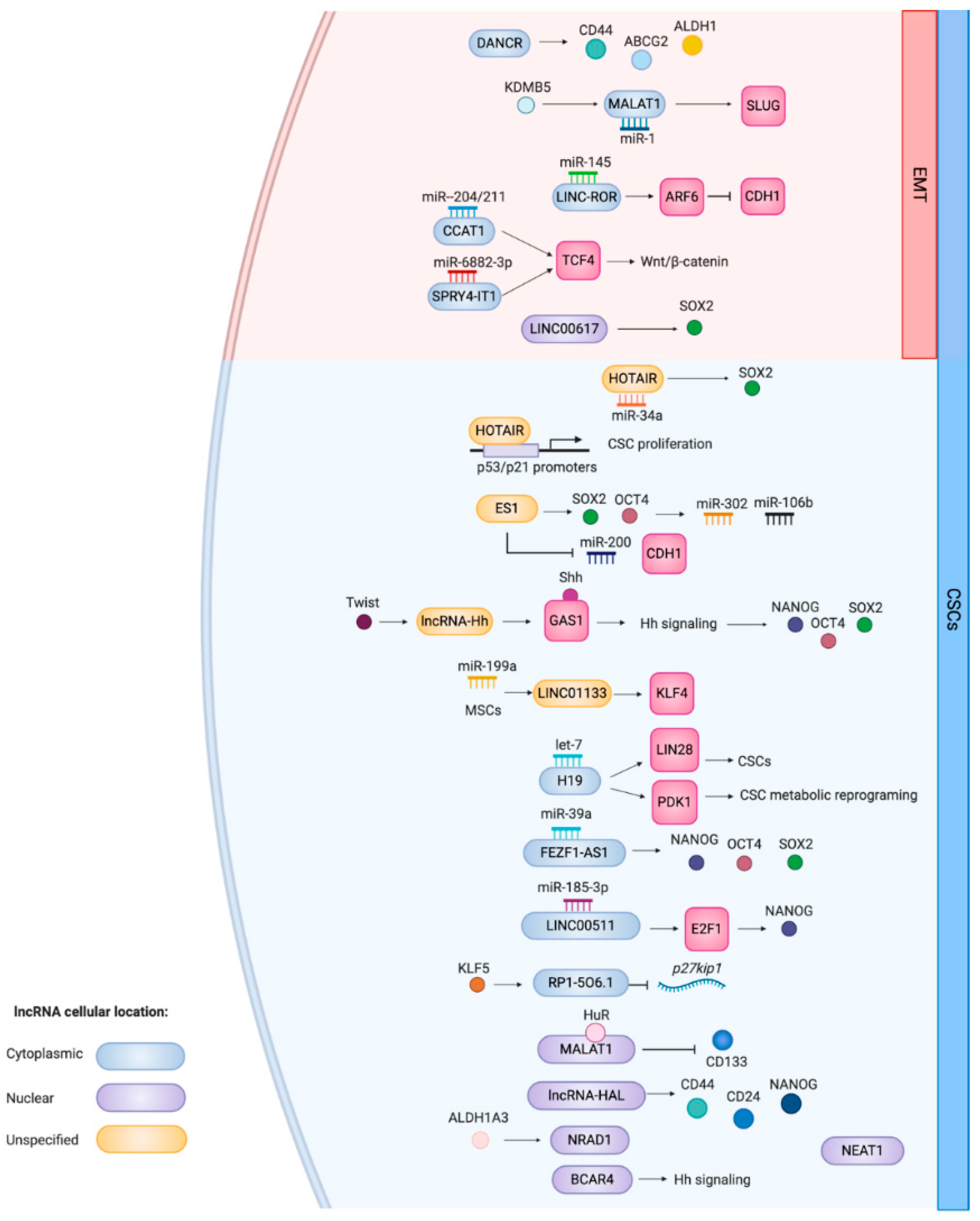 The Missing Lnc: The Potential of Targeting Triple-Negative The Missing Lnc: The Potential of Targeting Triple-Negative