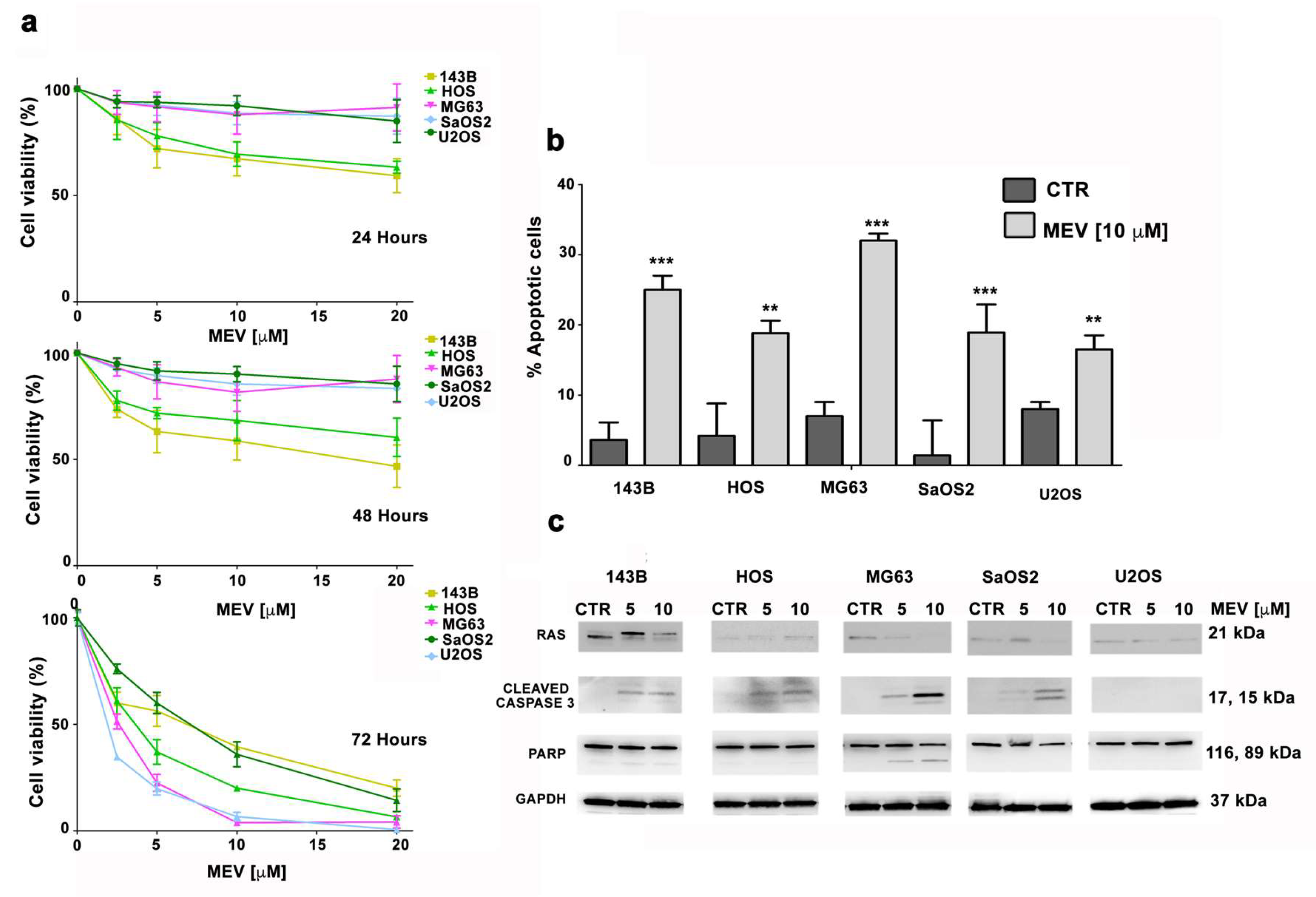 Cells 09 00774 g005 Cells 09 00774 g005