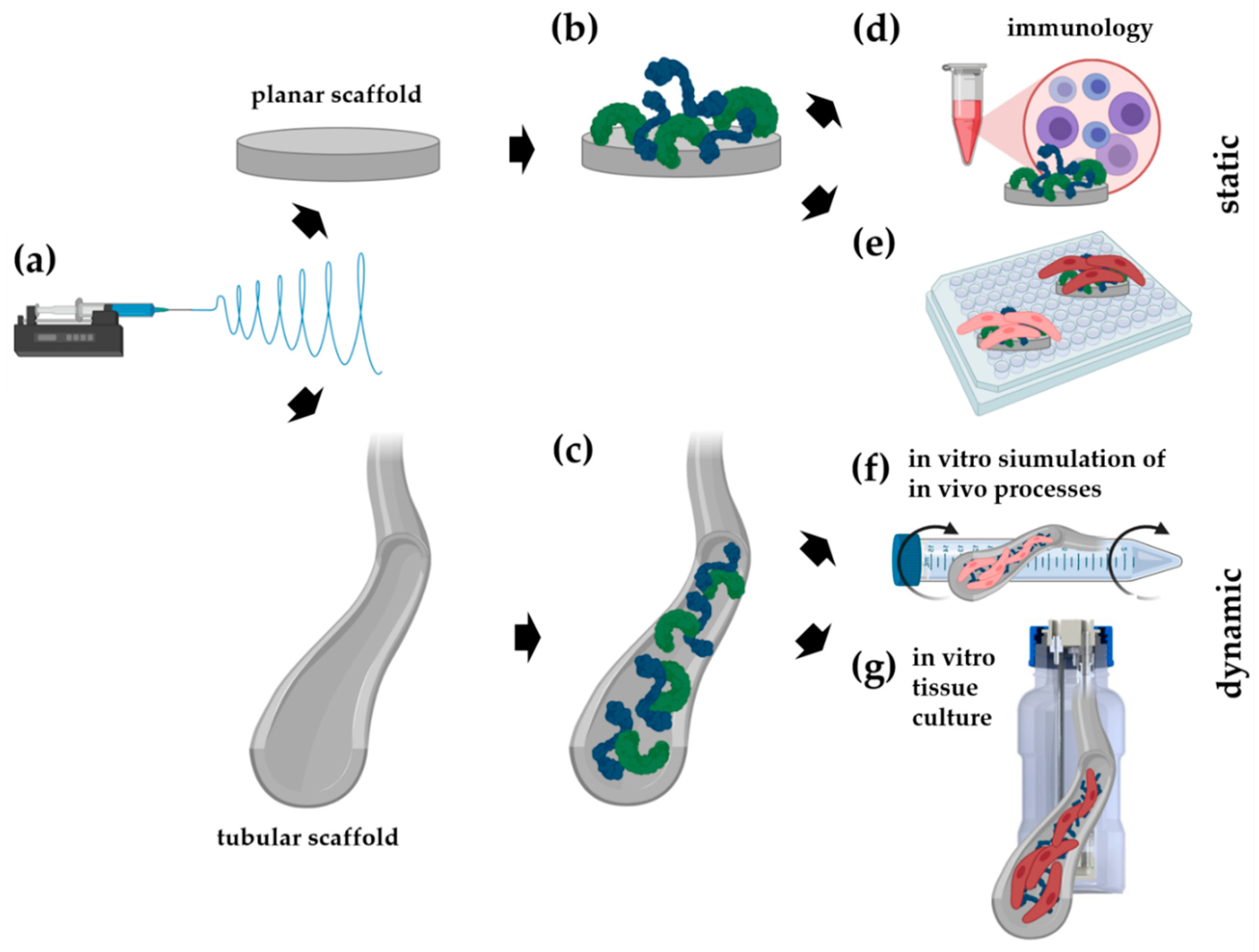 Cells 09 00778 g001 Cells 09 00778 g001