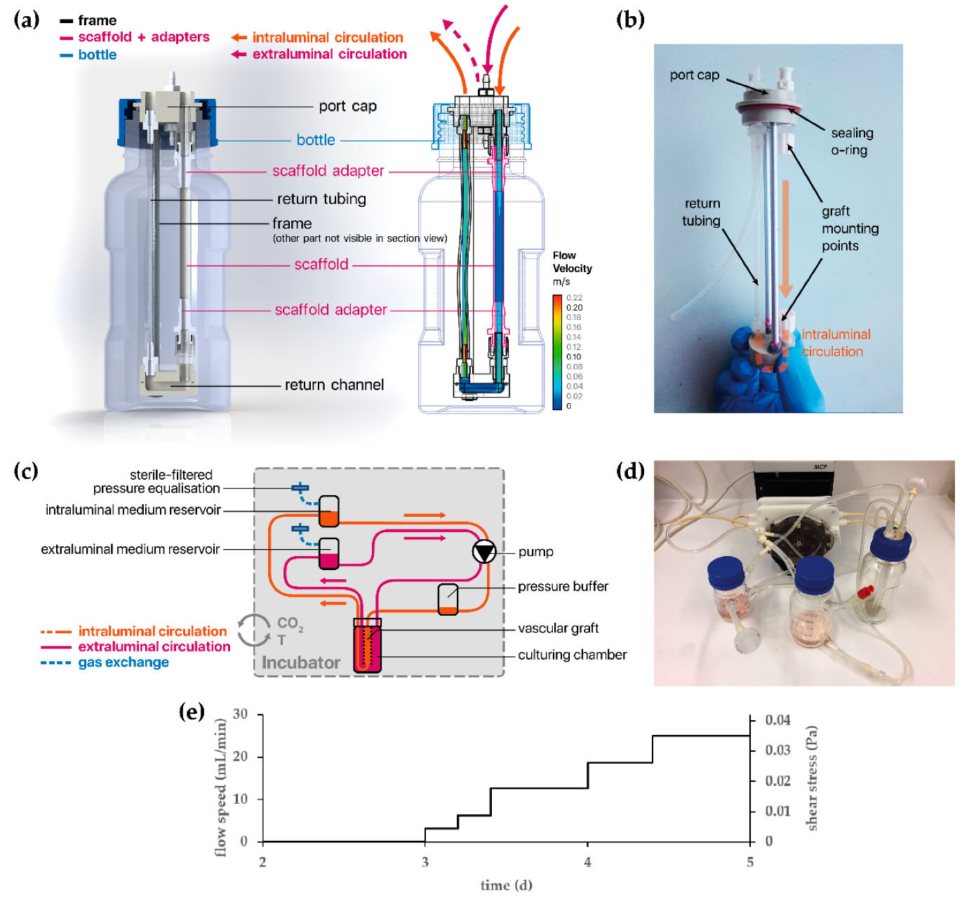 Cells 09 00778 g002 Cells 09 00778 g002