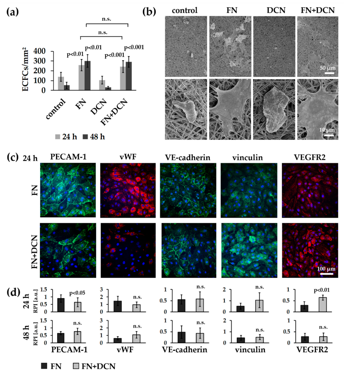 Cells 09 00778 g005 Cells 09 00778 g005