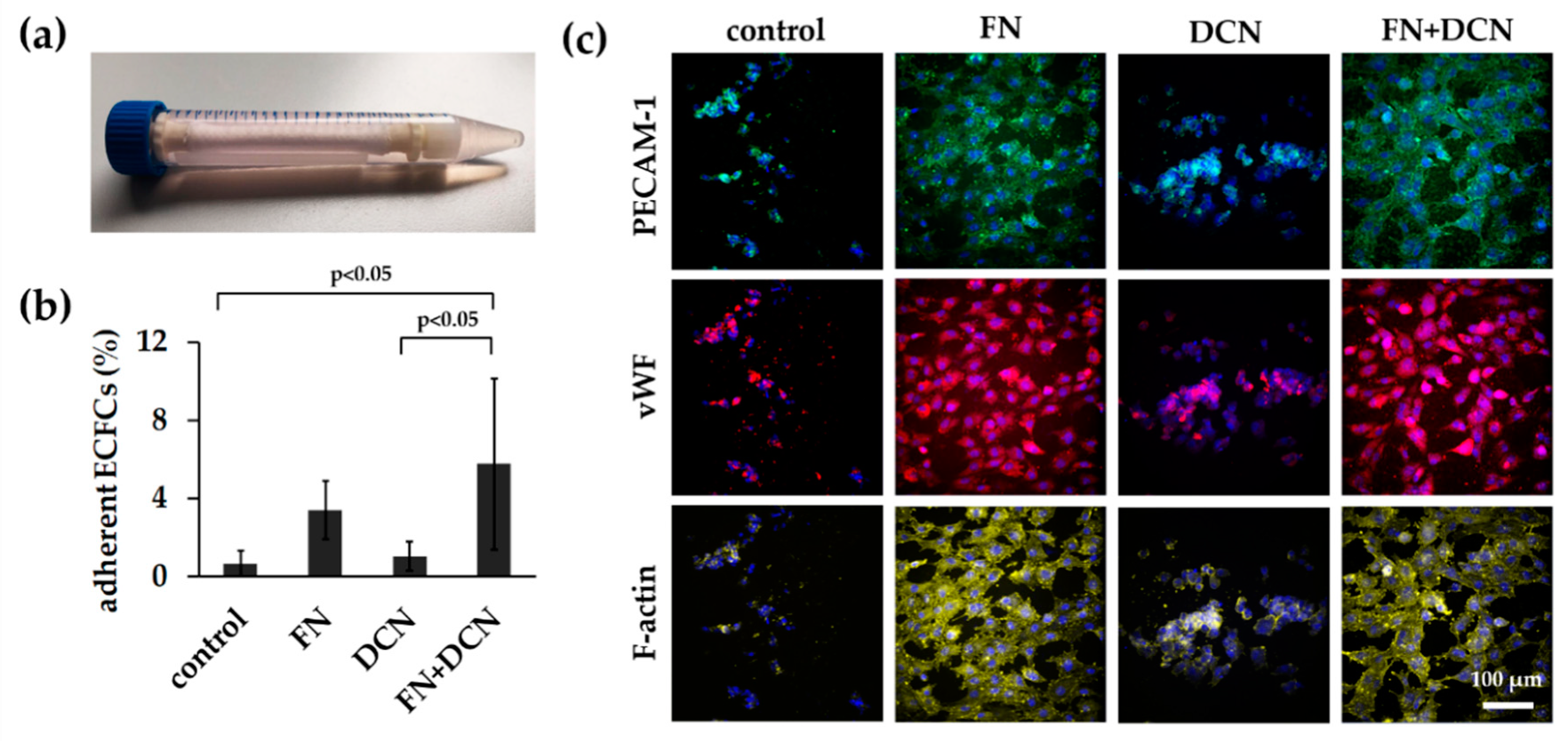Cells 09 00778 g006 Cells 09 00778 g006