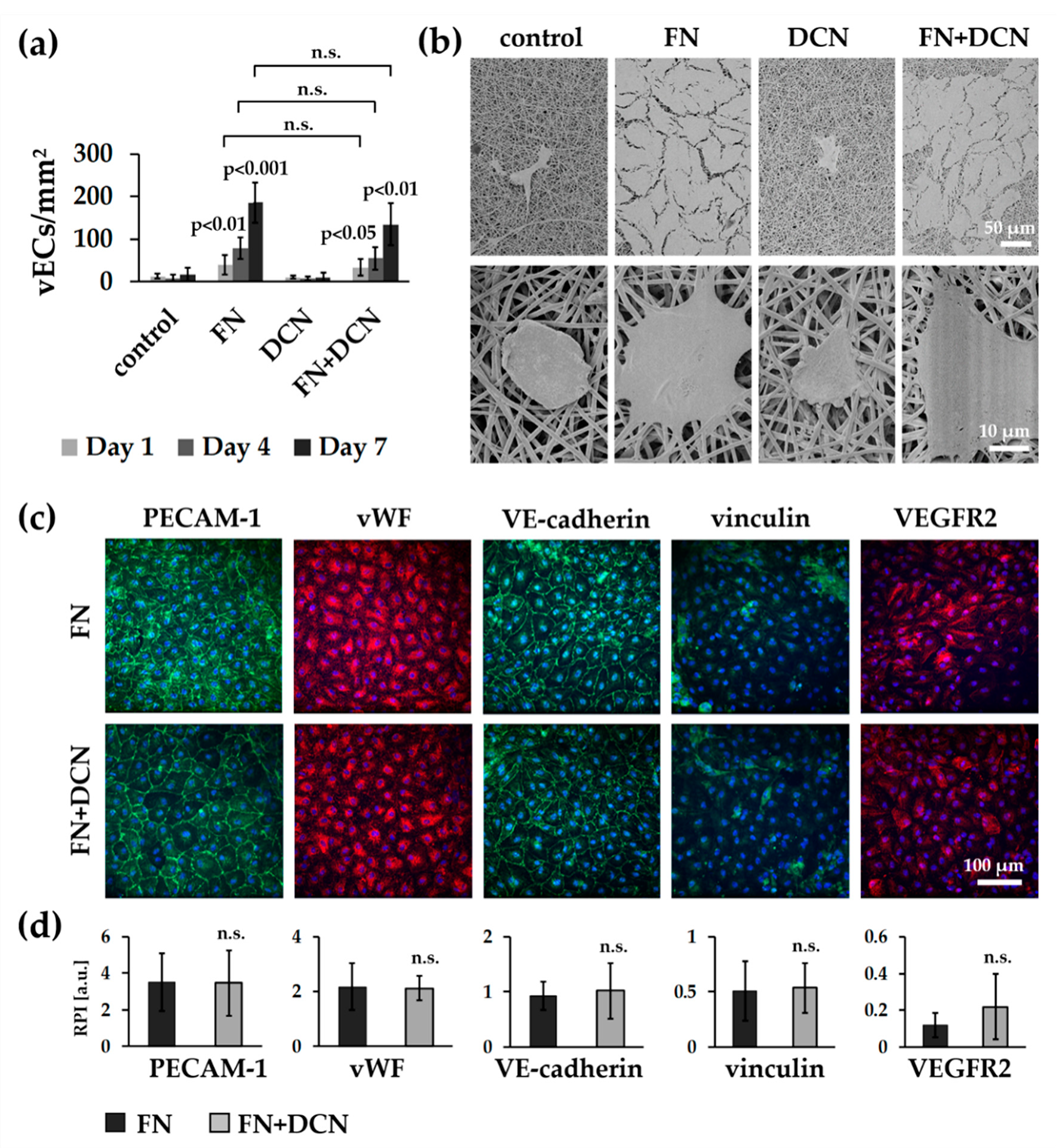 Cells 09 00778 g007 Cells 09 00778 g007